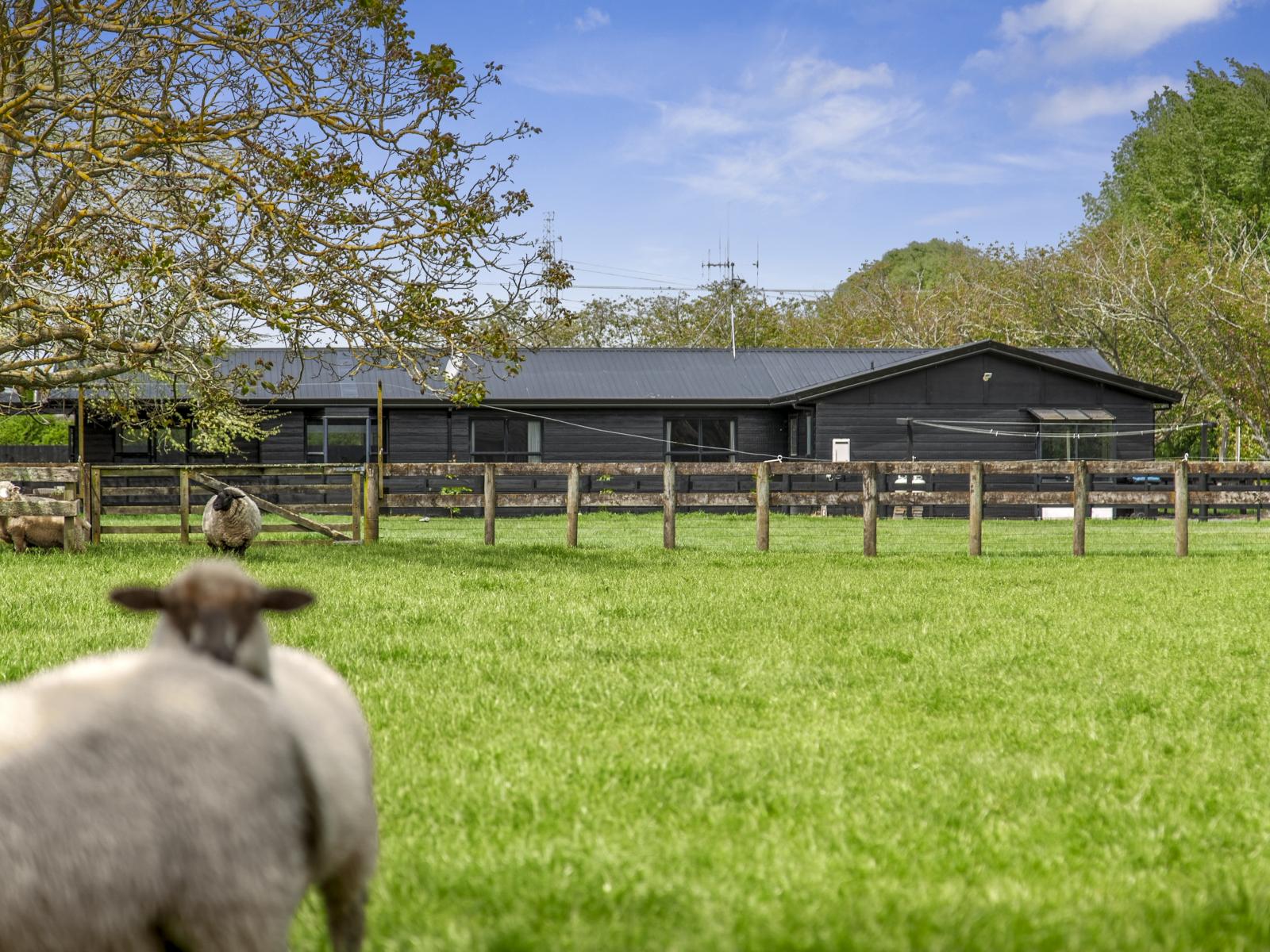 43 Forrest Road, Cambridge