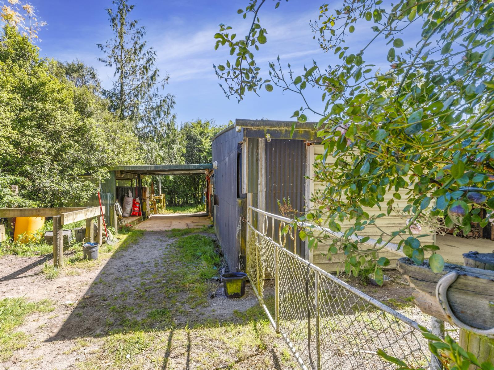 3/193 Racecourse Road, Cambridge