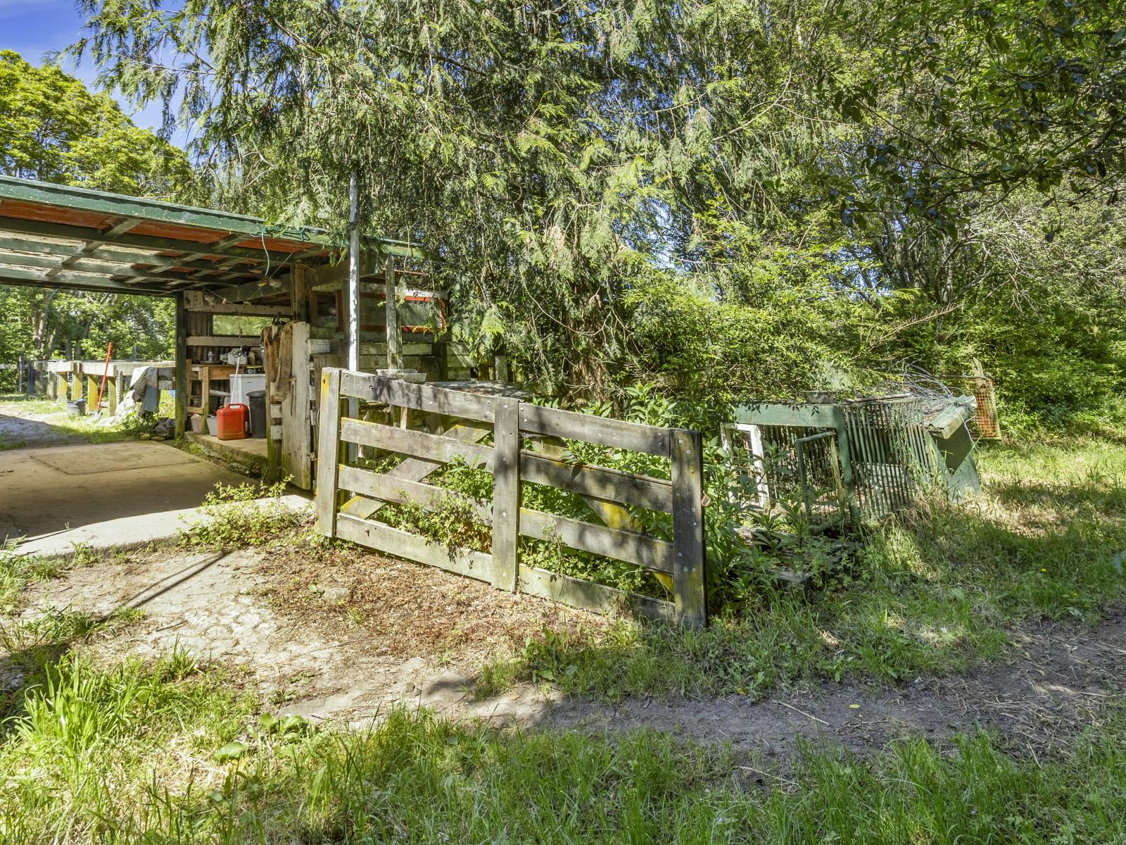 3/193 Racecourse Road, Cambridge