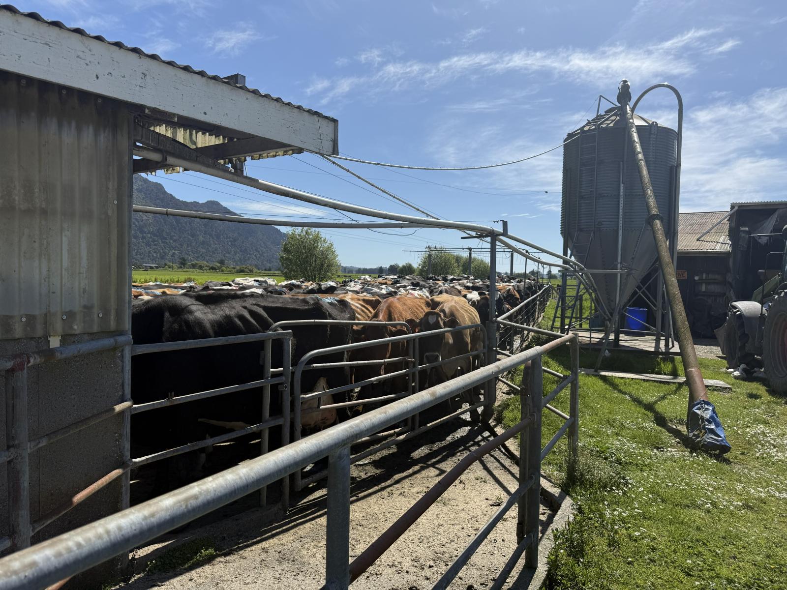 18 Municipal Road, Kowhitirangi, Hokitika