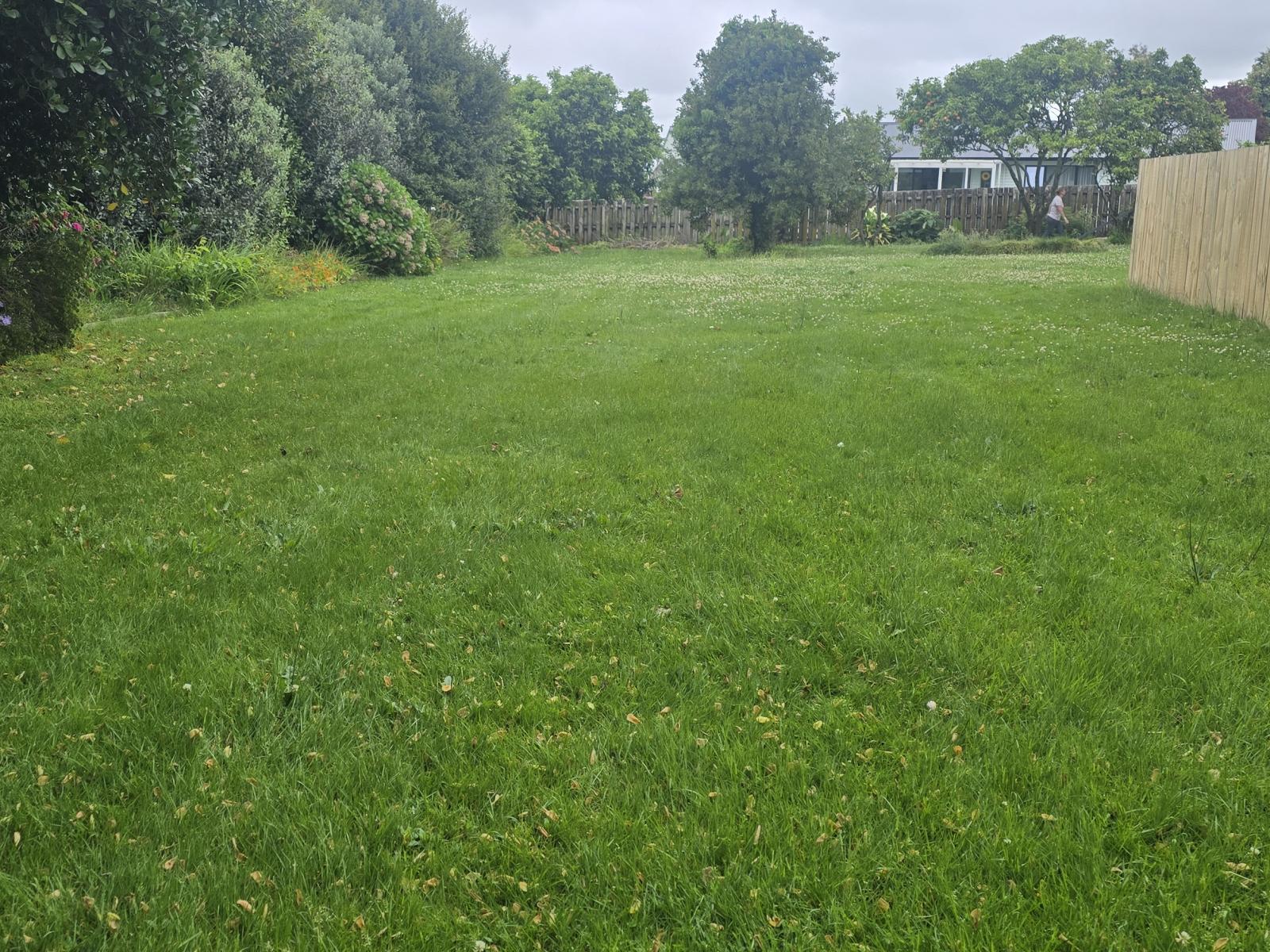 50B Moehau Street, Te Puke