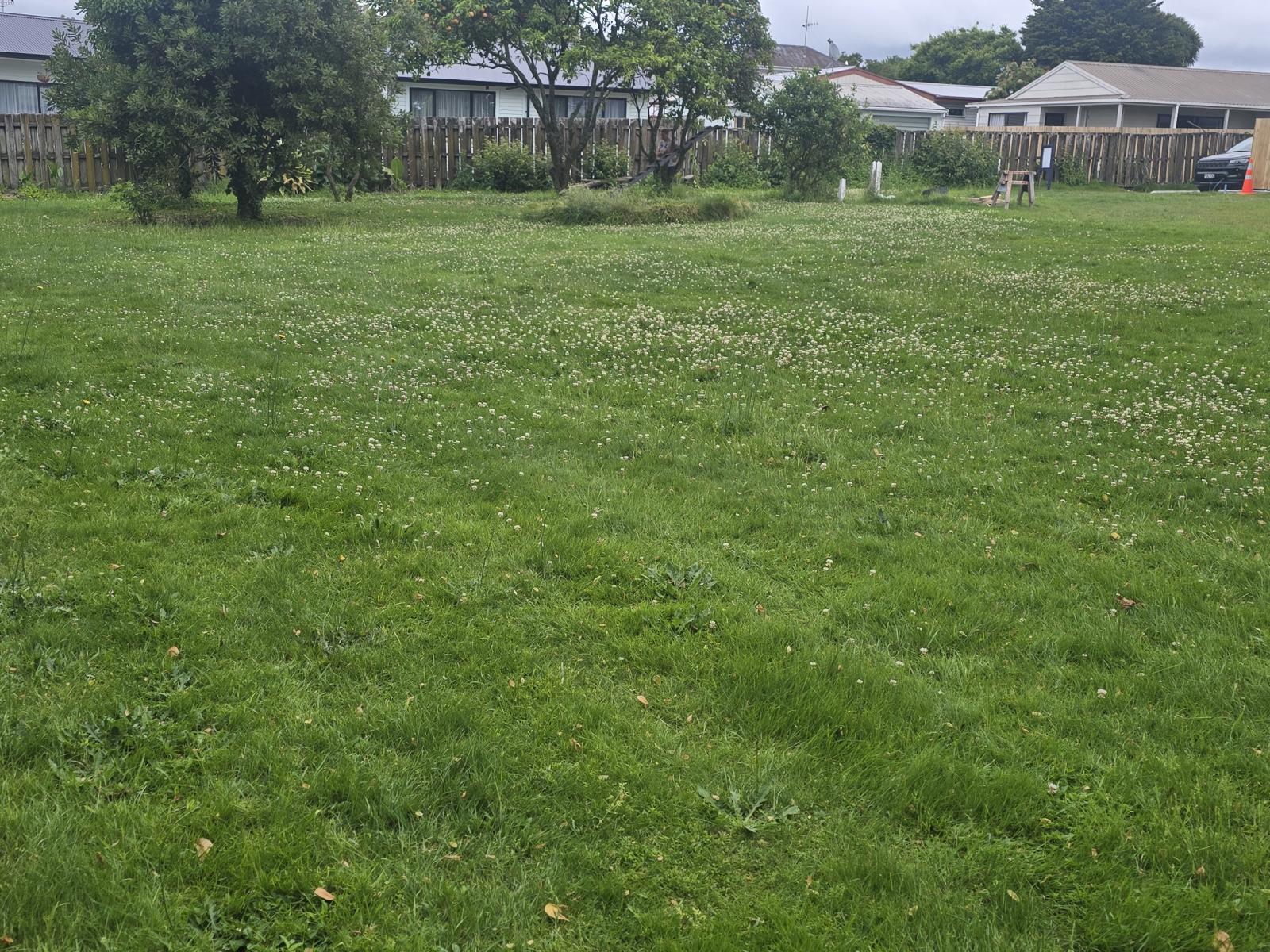 50B Moehau Street, Te Puke