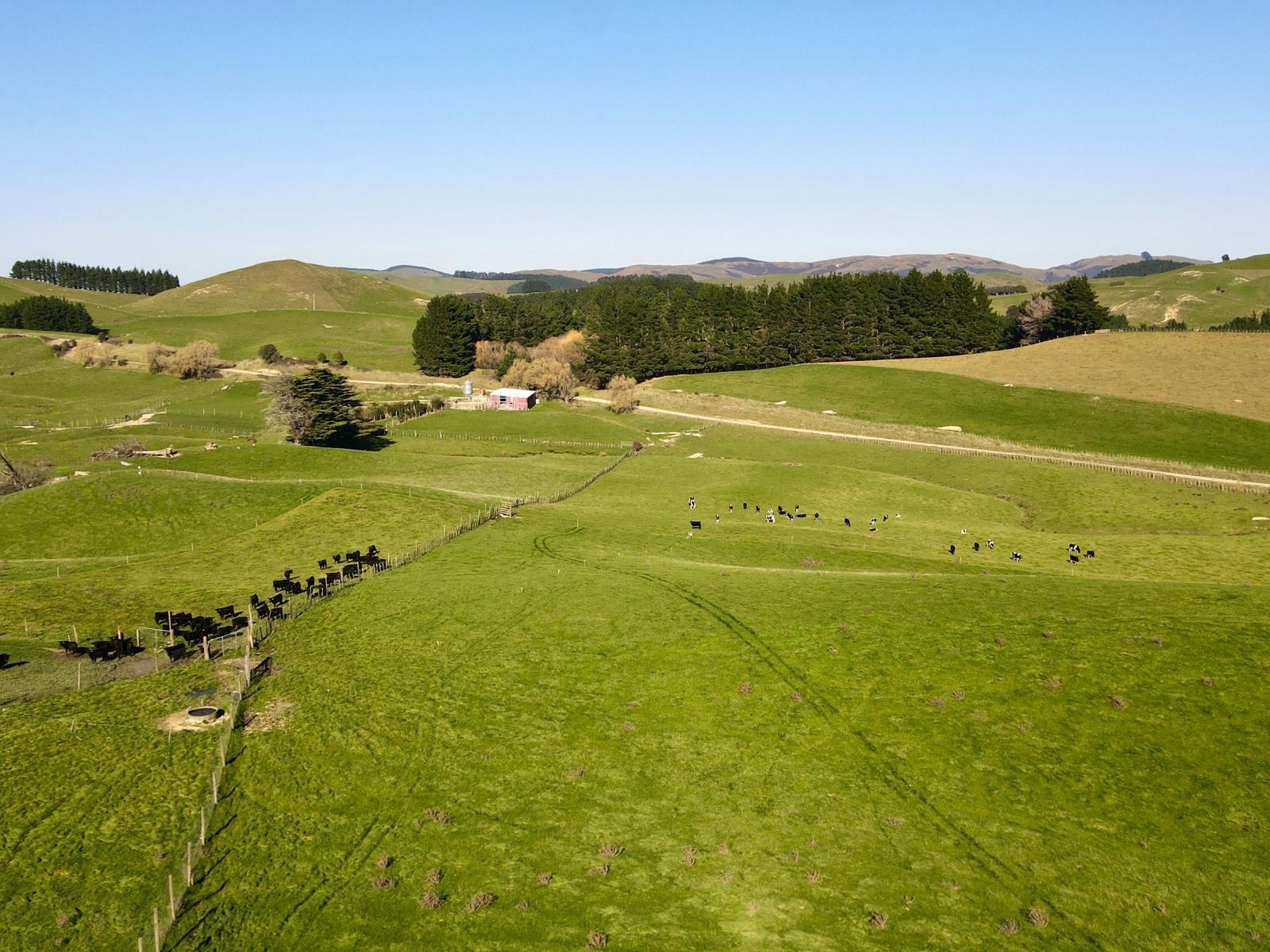 Dannevirke