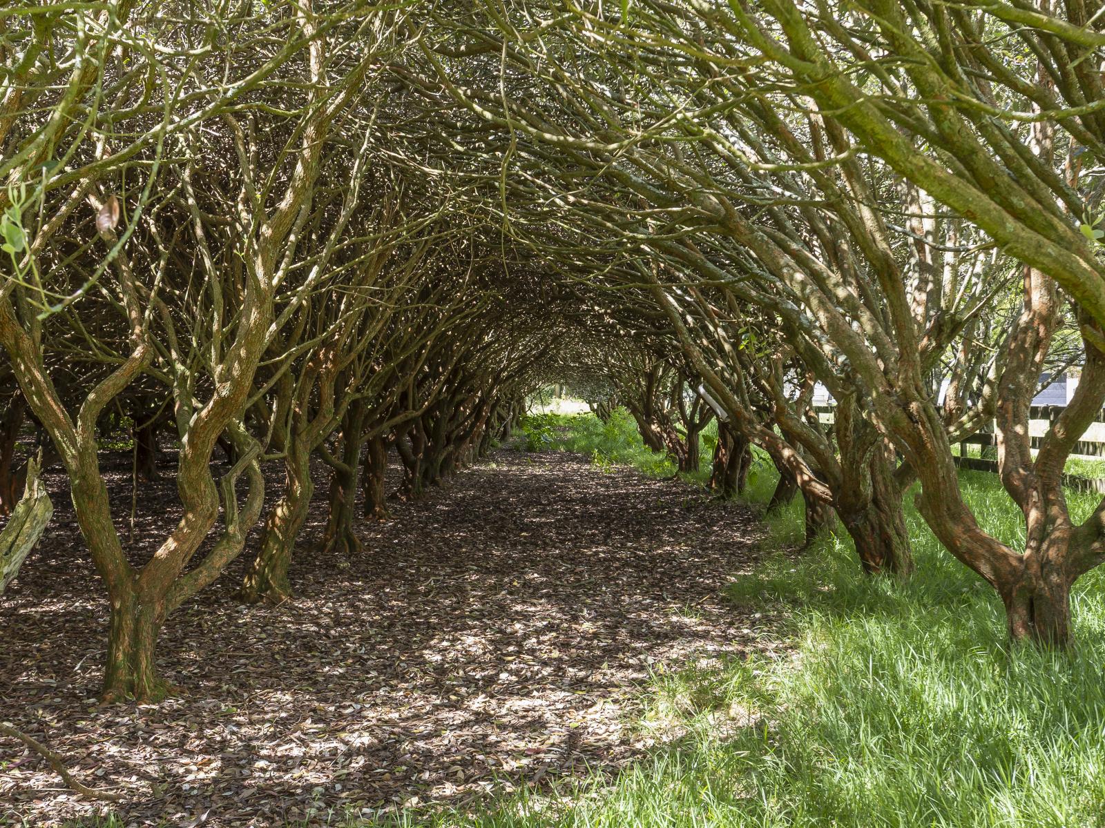 314 Matangi Road, Matangi
