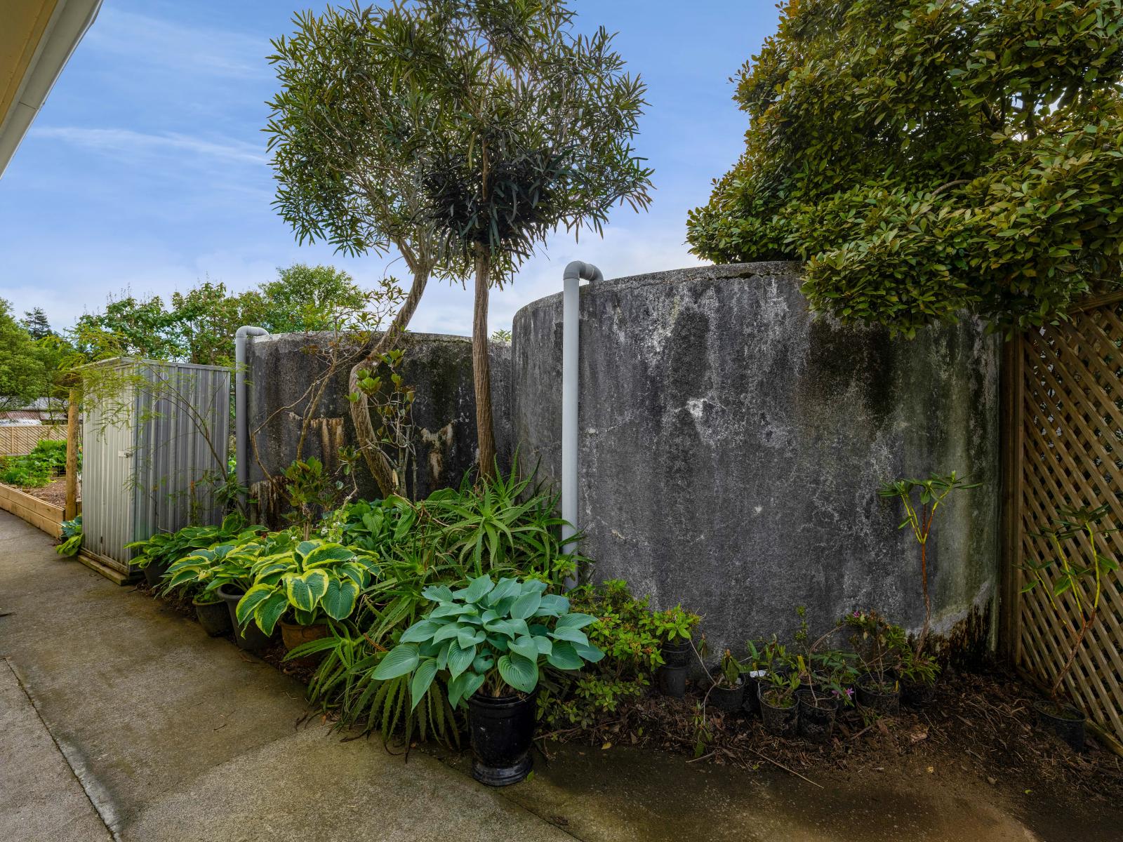 275 Henwood Road, Paraite