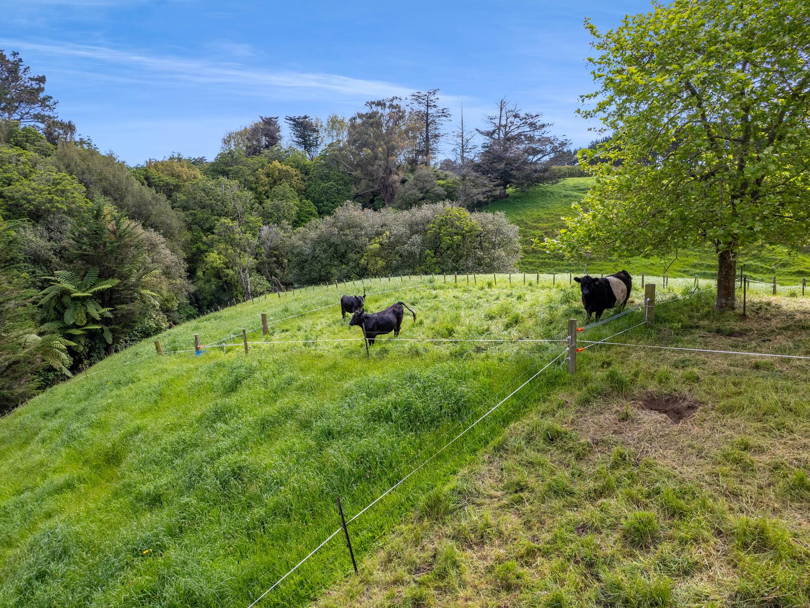 275 Henwood Road, Paraite