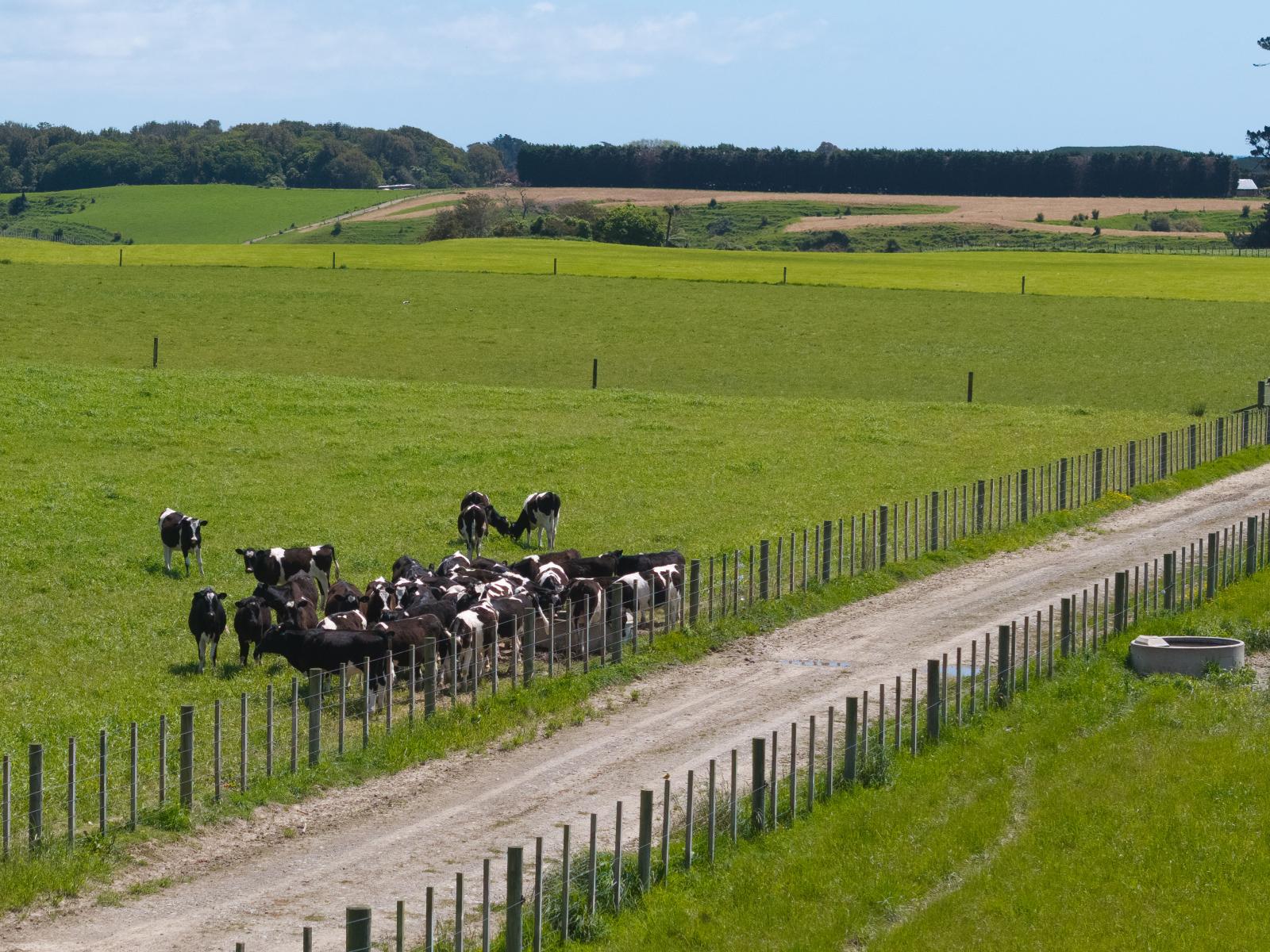 1272 State Highway 1 South, Manakau