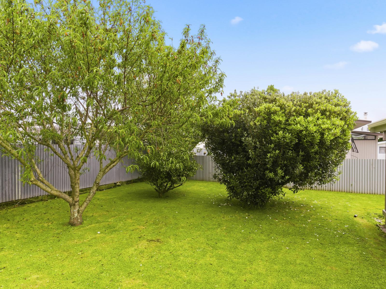 14 Solway Street, Levin