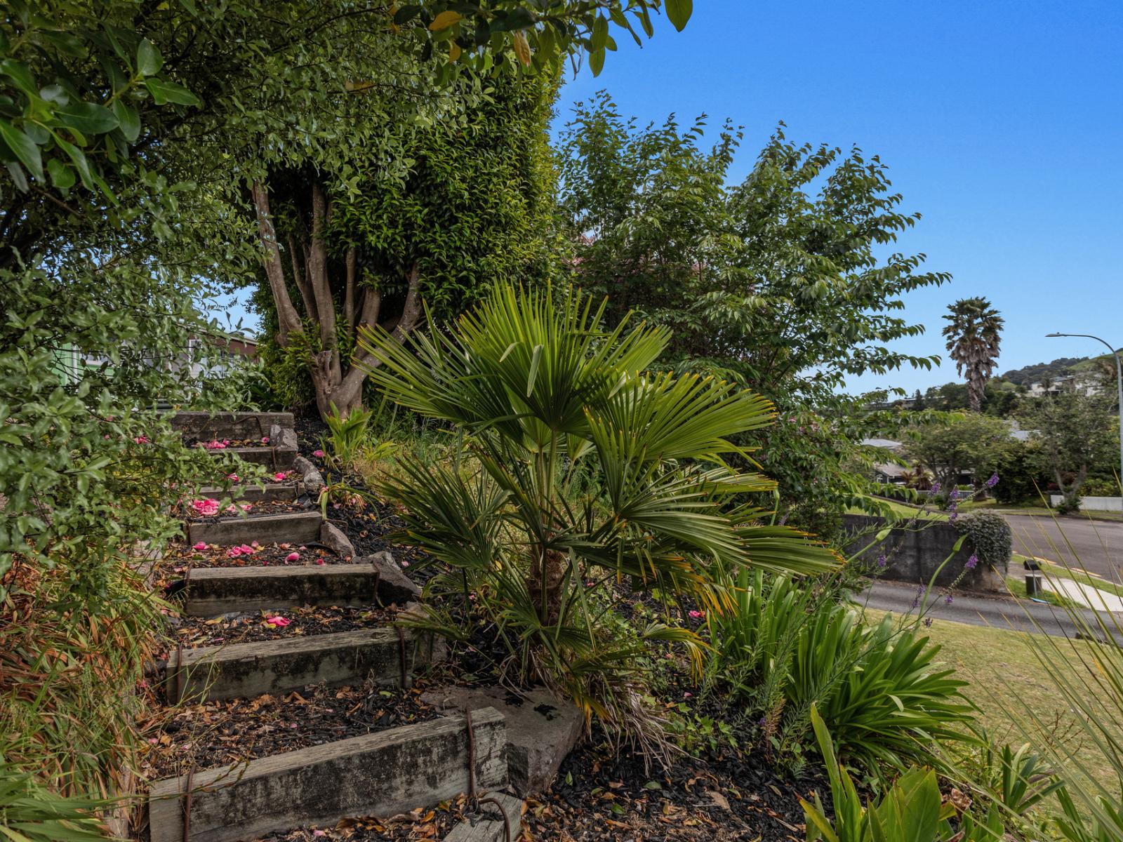 8 White Horse Drive, Whakatane