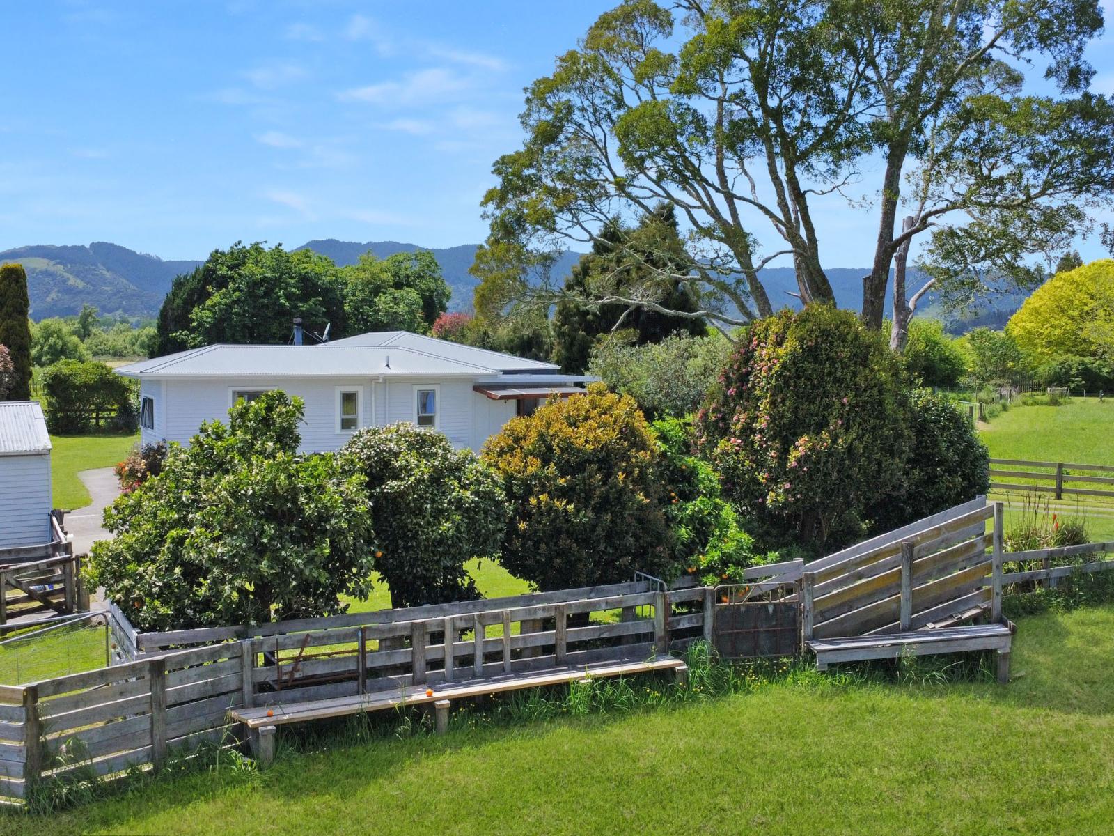 1009 White Pine Bush Road, Awakeri