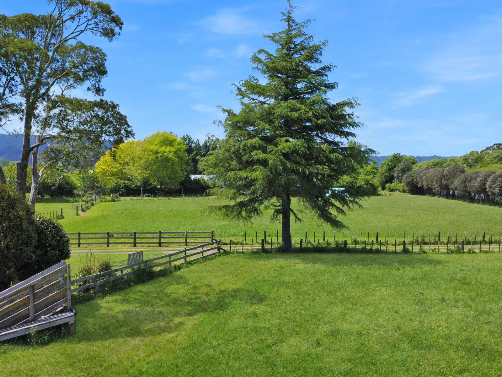 1009 White Pine Bush Road, Awakeri