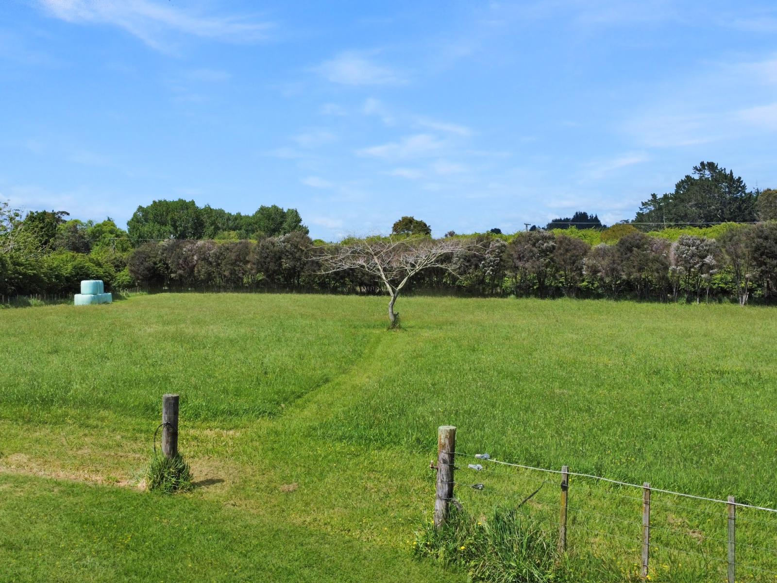 1009 White Pine Bush Road, Awakeri