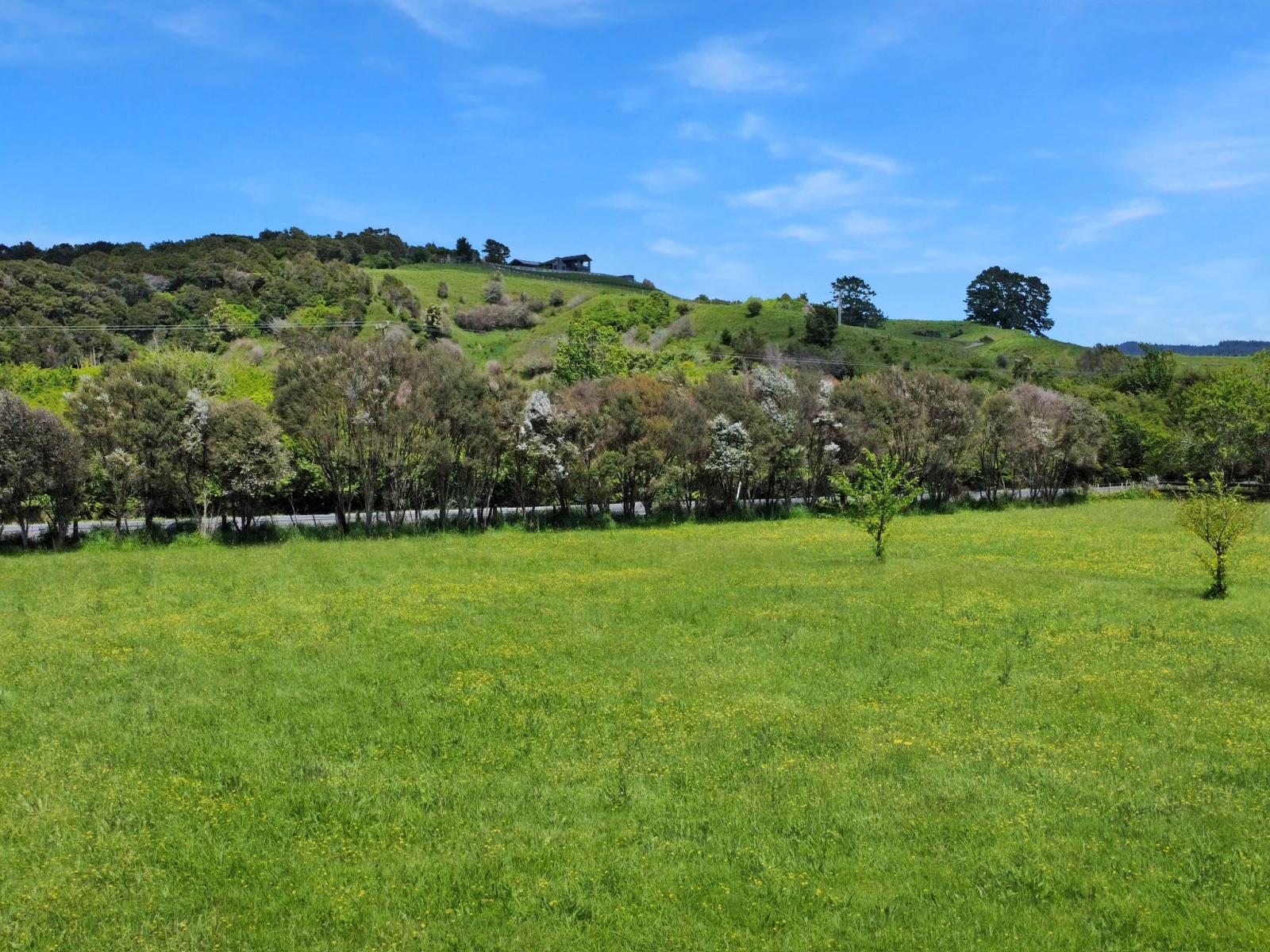 1009 White Pine Bush Road, Awakeri