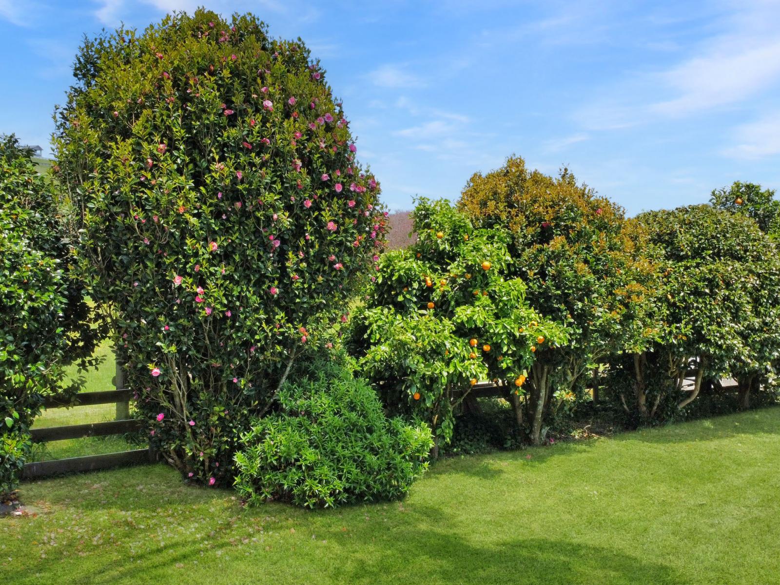 1009 White Pine Bush Road, Awakeri