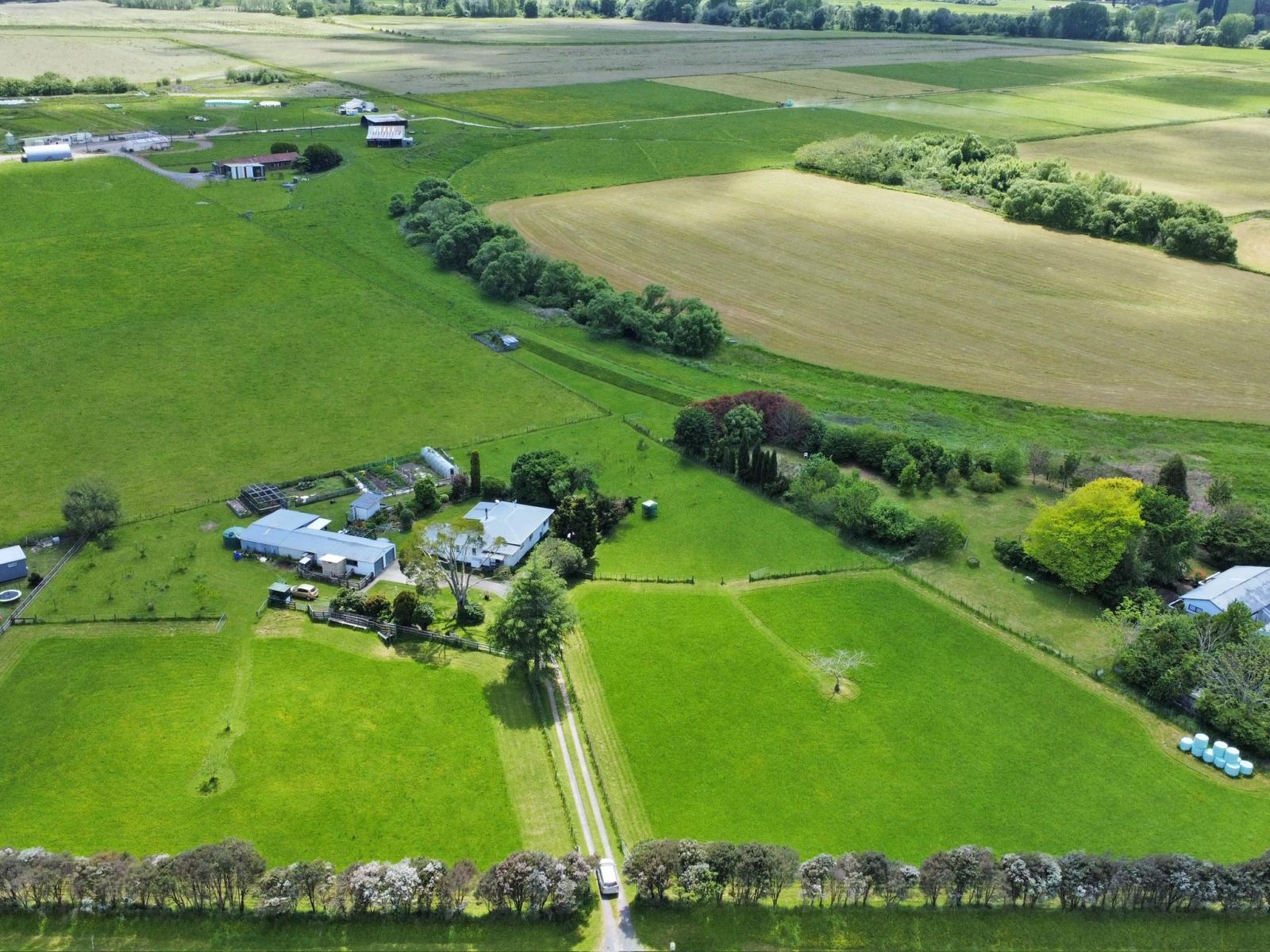 1009 White Pine Bush Road, Awakeri