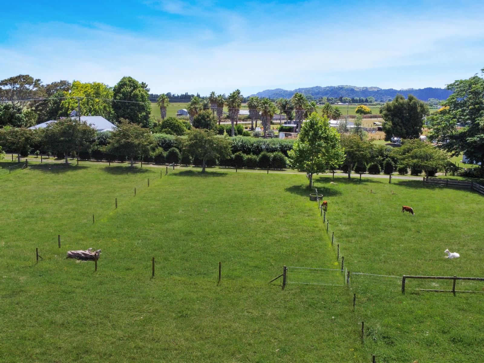 262 Te Rahu Road, Poroporo