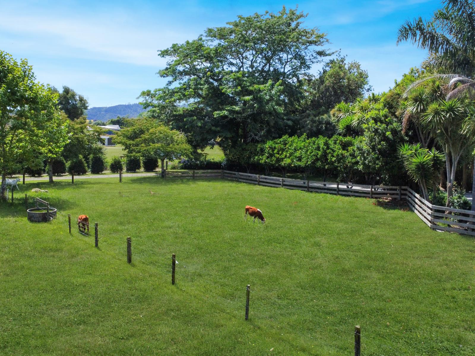 262 Te Rahu Road, Poroporo