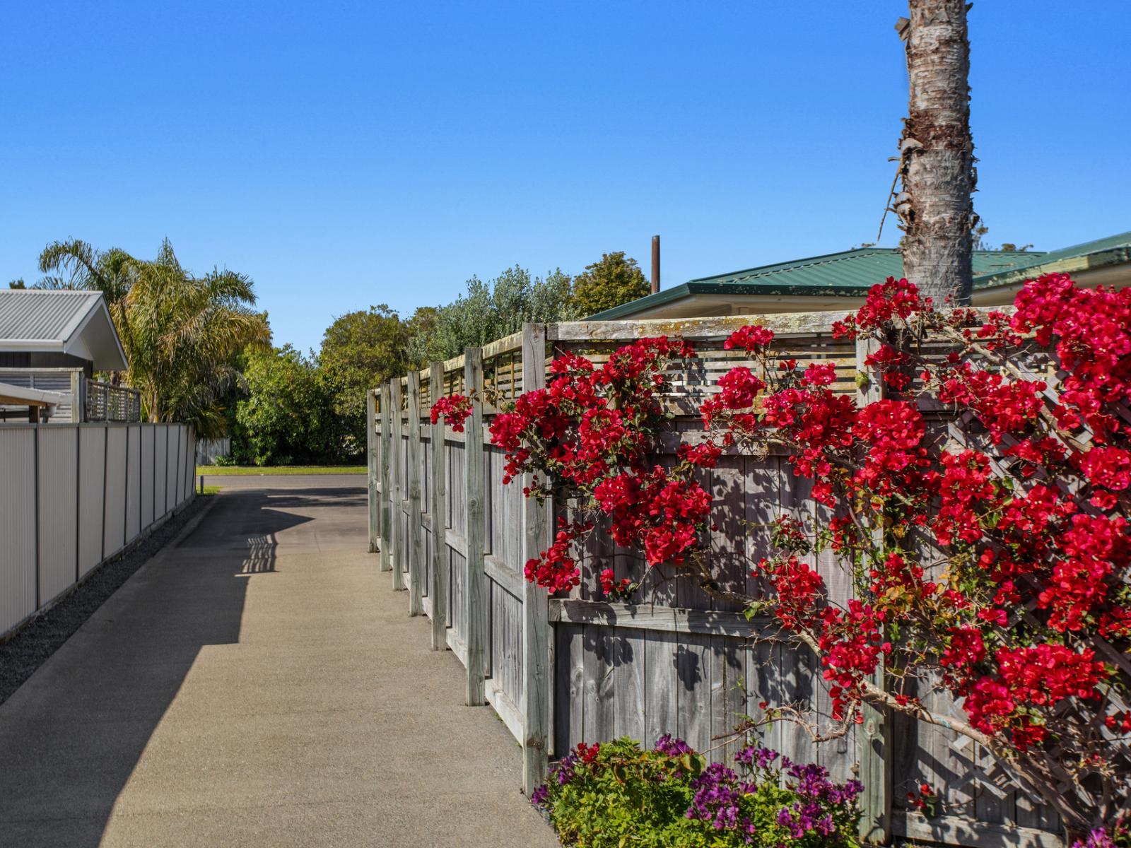 26A Bracken Street, Whakatane