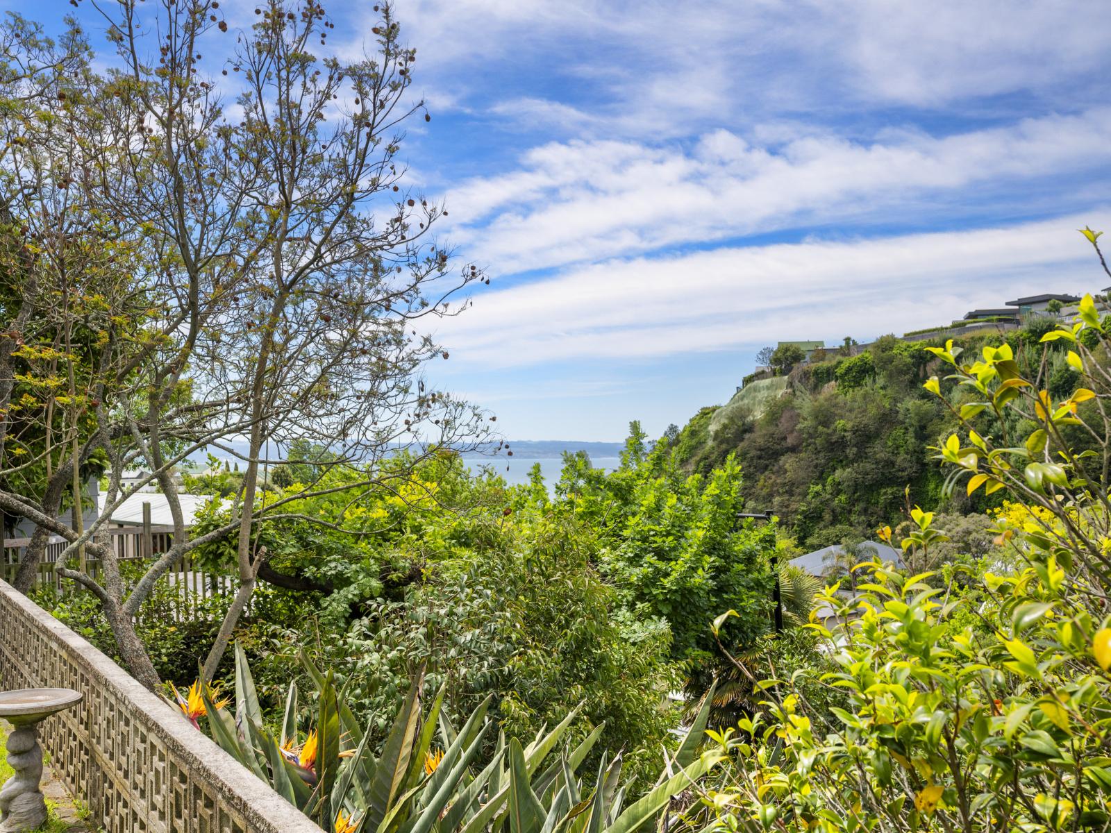 74 and 76 Milton Road, Bluff Hill