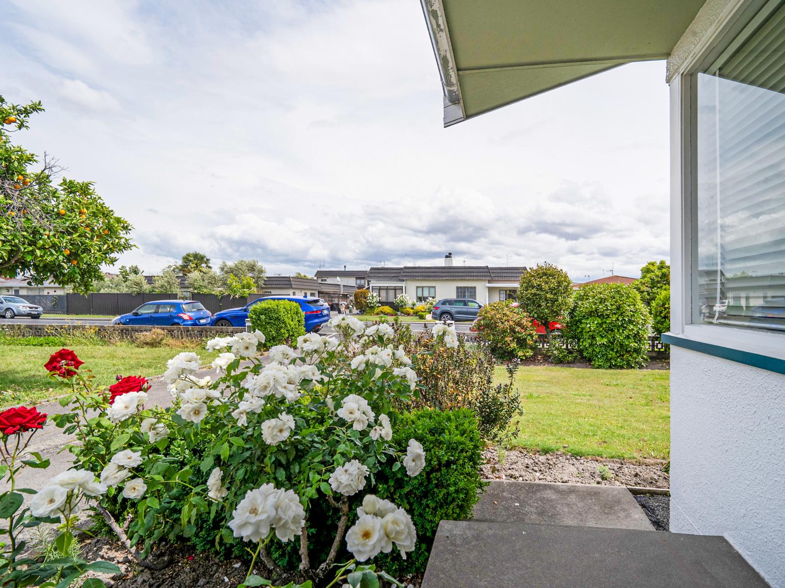 4/417 Avenue Road West, Hastings