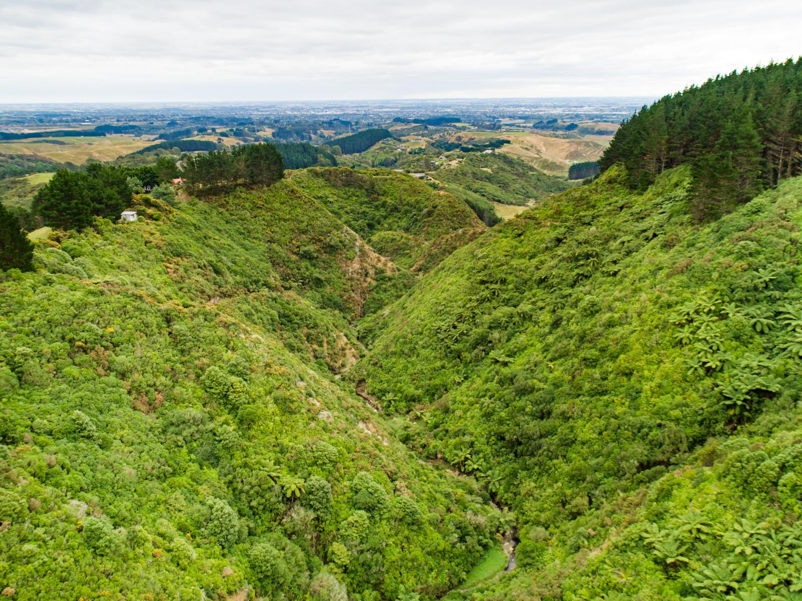 631 Pahiatua Aokautere Road, Aokautere