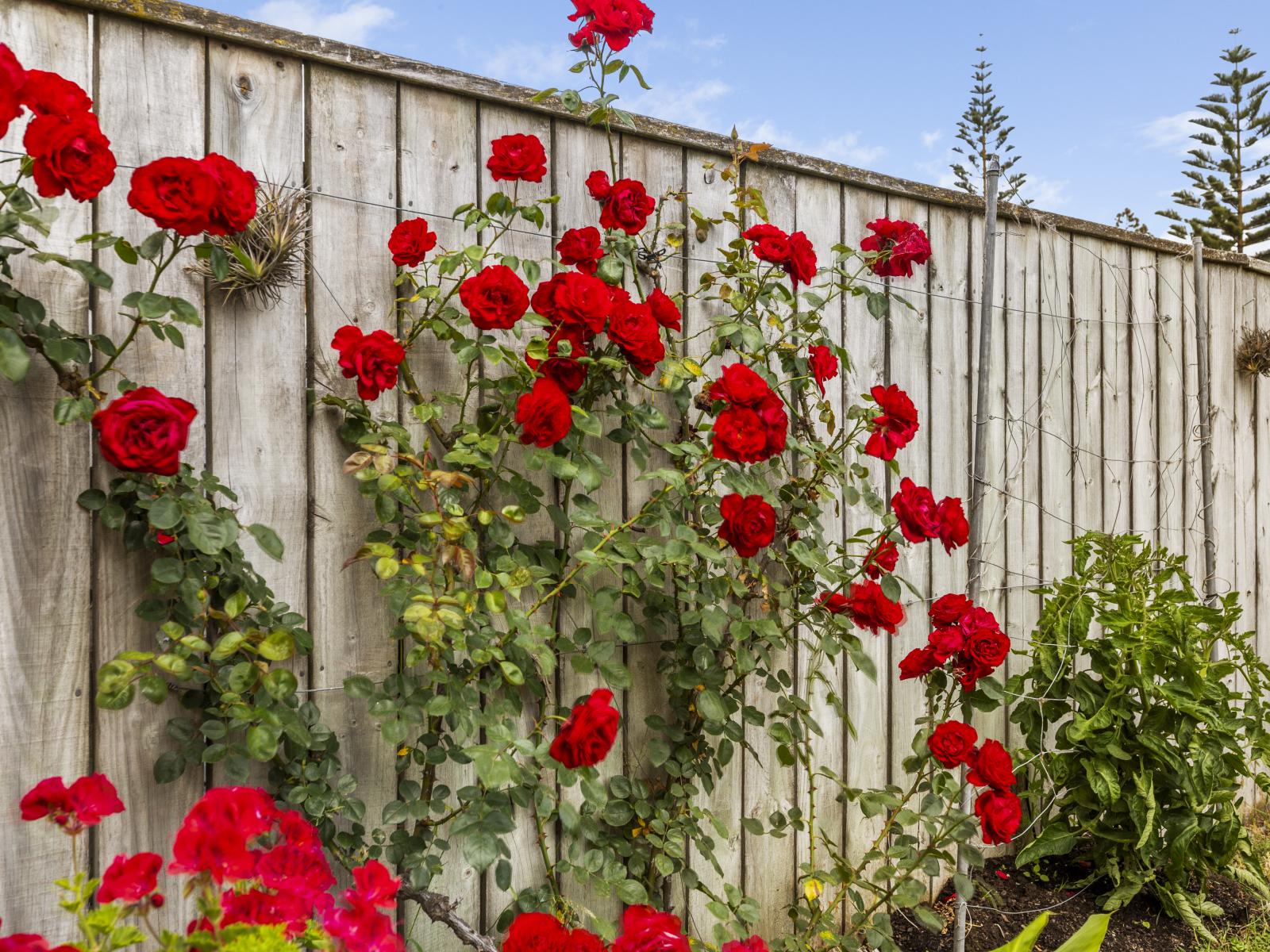202 Whirinaki Road, Eskdale