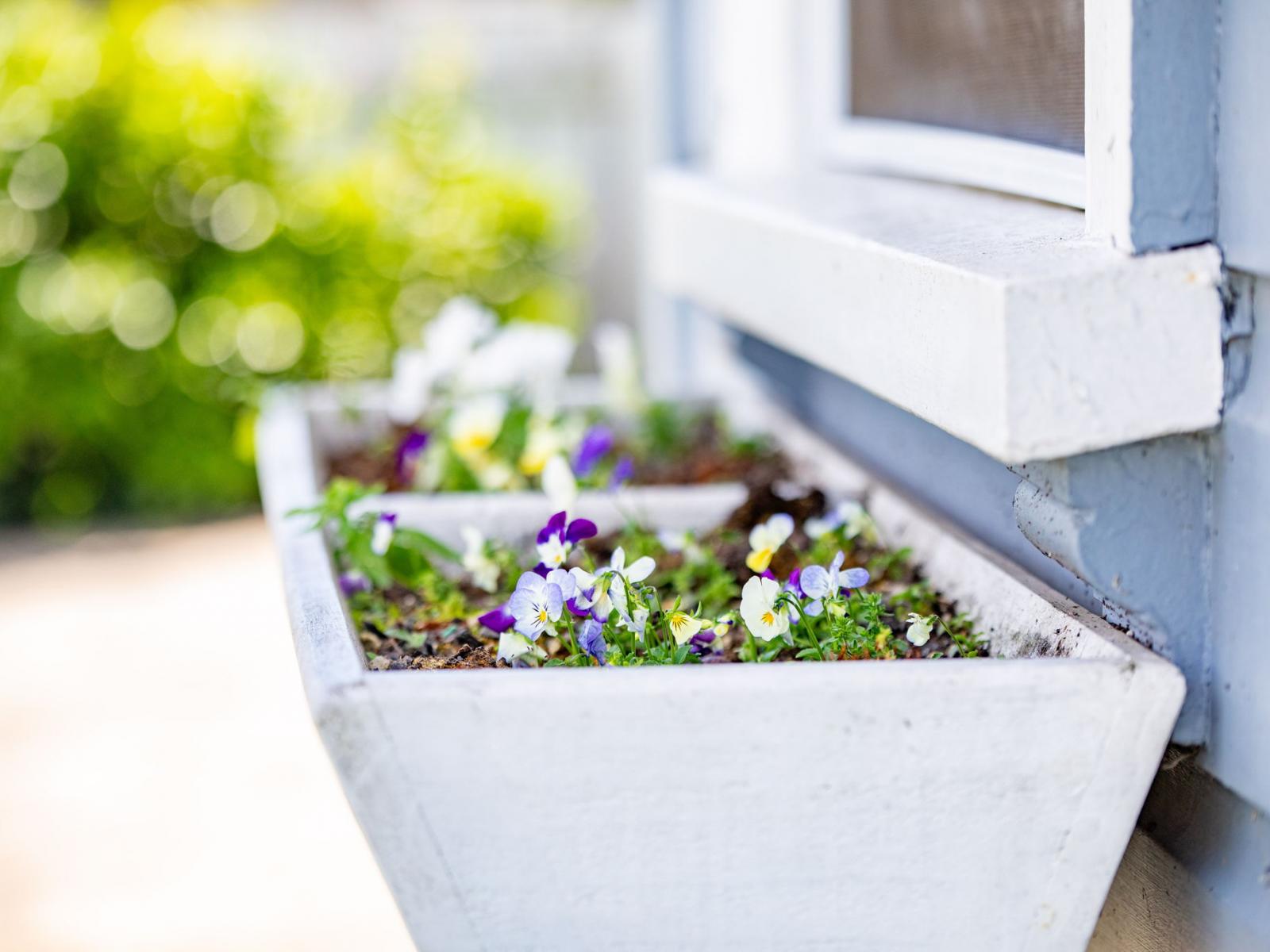 7 Mcandrew Street, Kihikihi