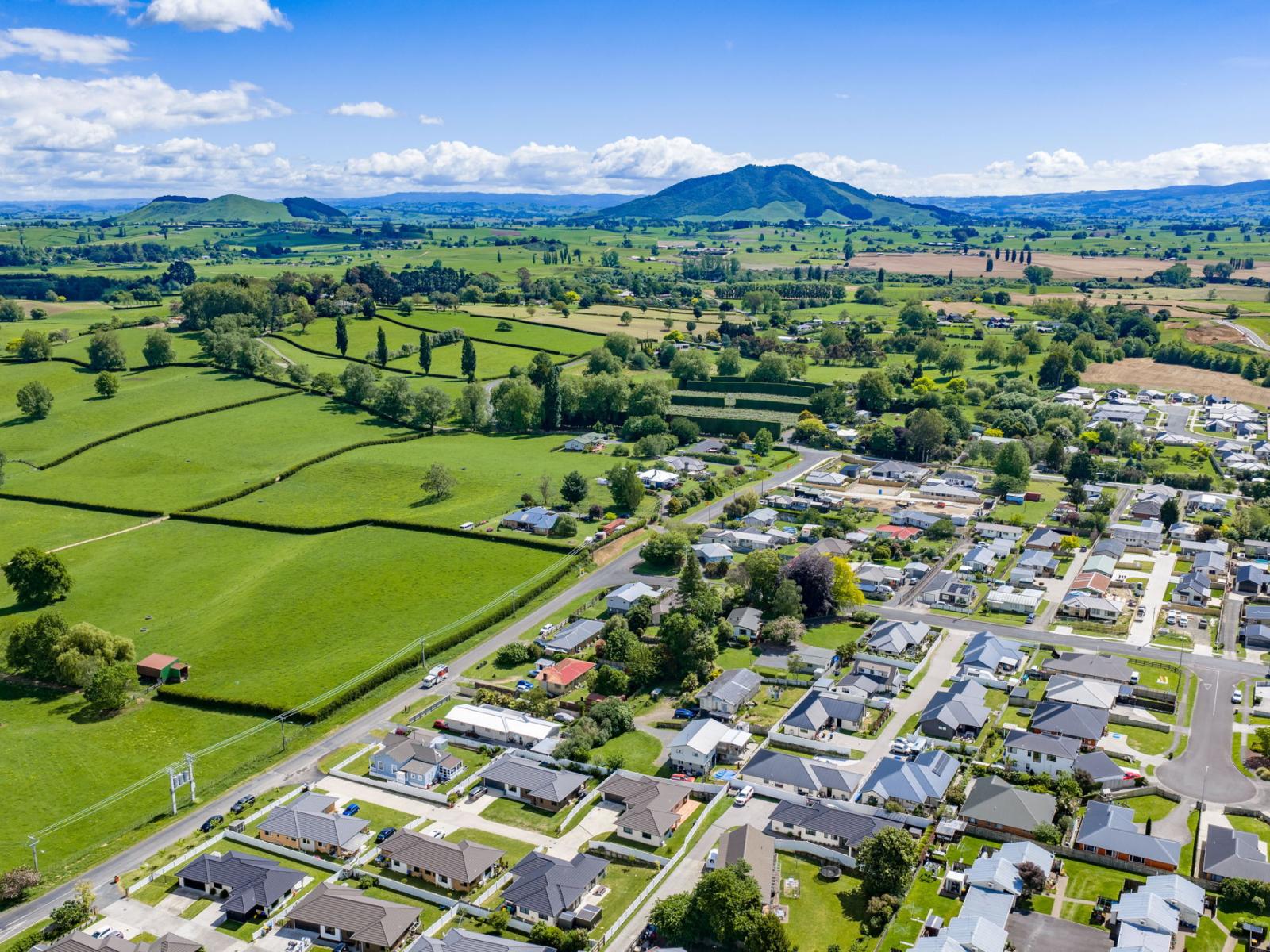 7 Mcandrew Street, Kihikihi