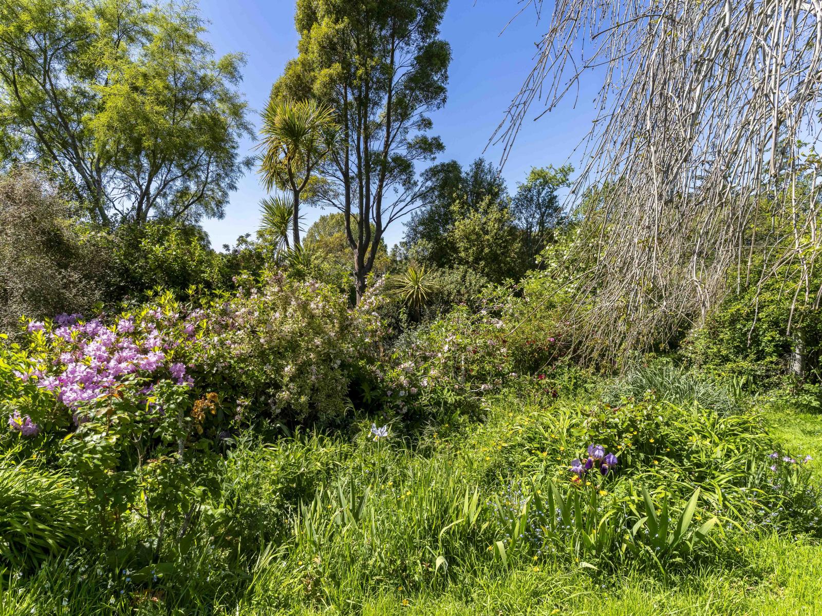 51 Russell Road, Seacliff