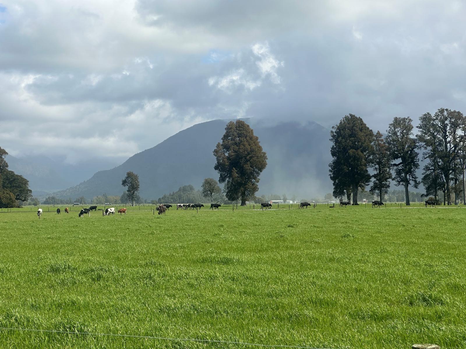 18 Municipal Road, Kowhitirangi, Hokitika