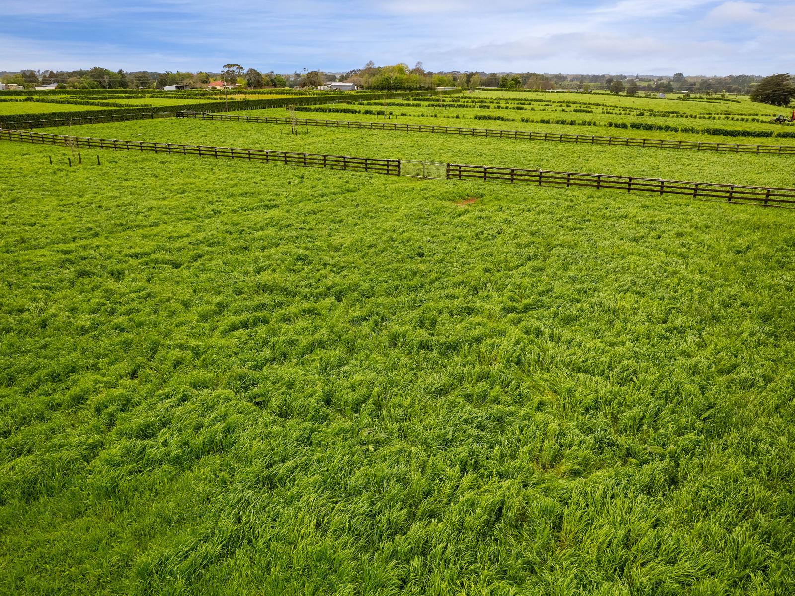 312 Corbett Road, Paraite