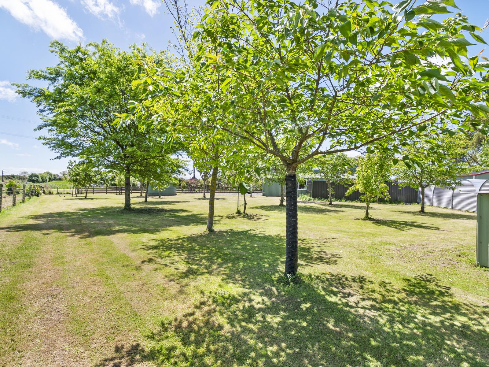 25 Godley Street, Halcombe