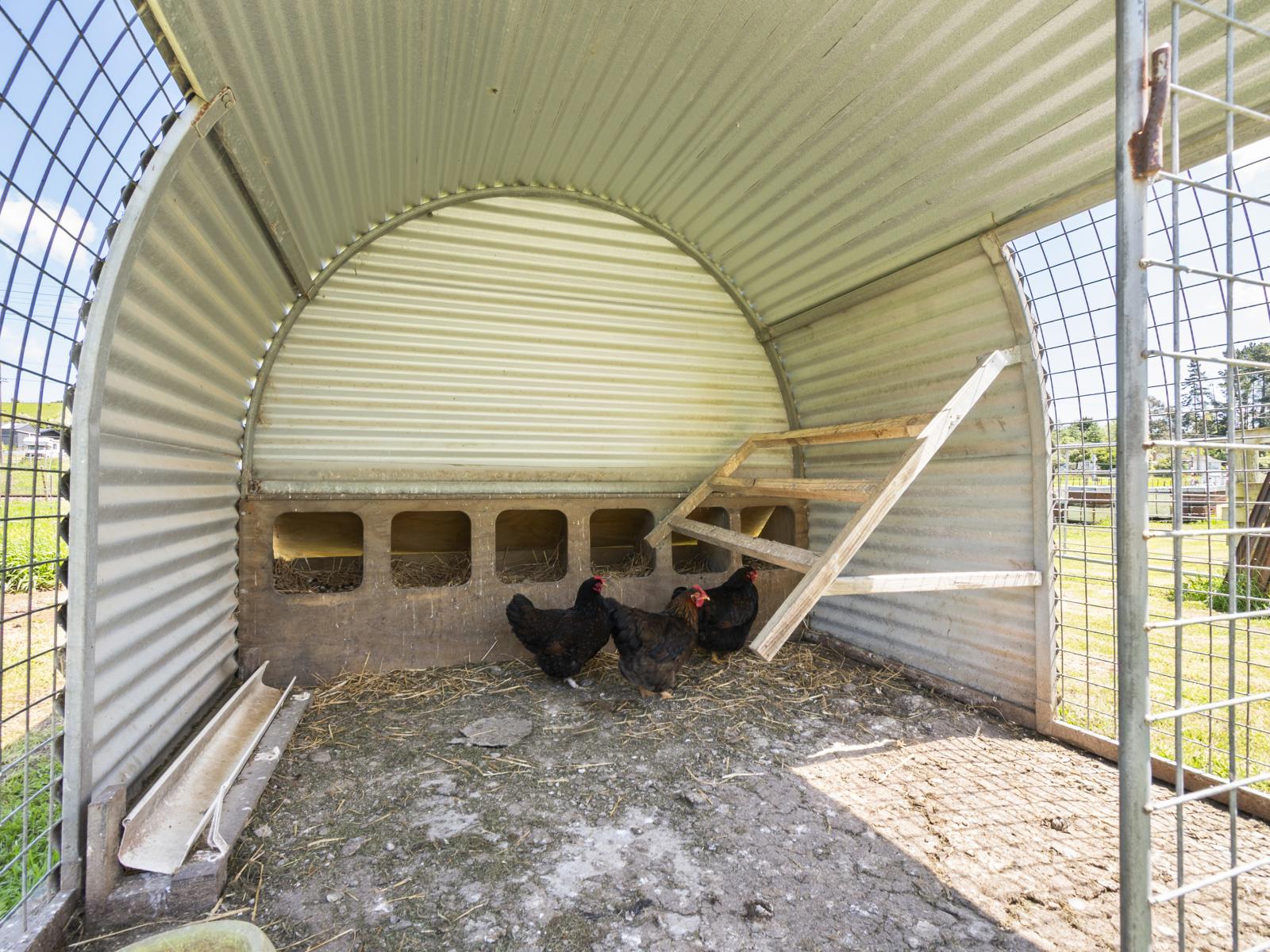 25 Godley Street, Halcombe