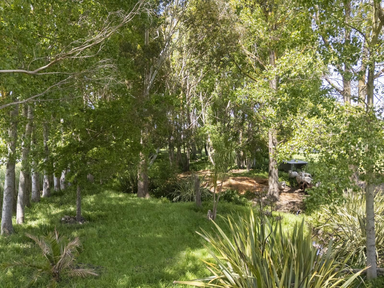 25 Godley Street, Halcombe