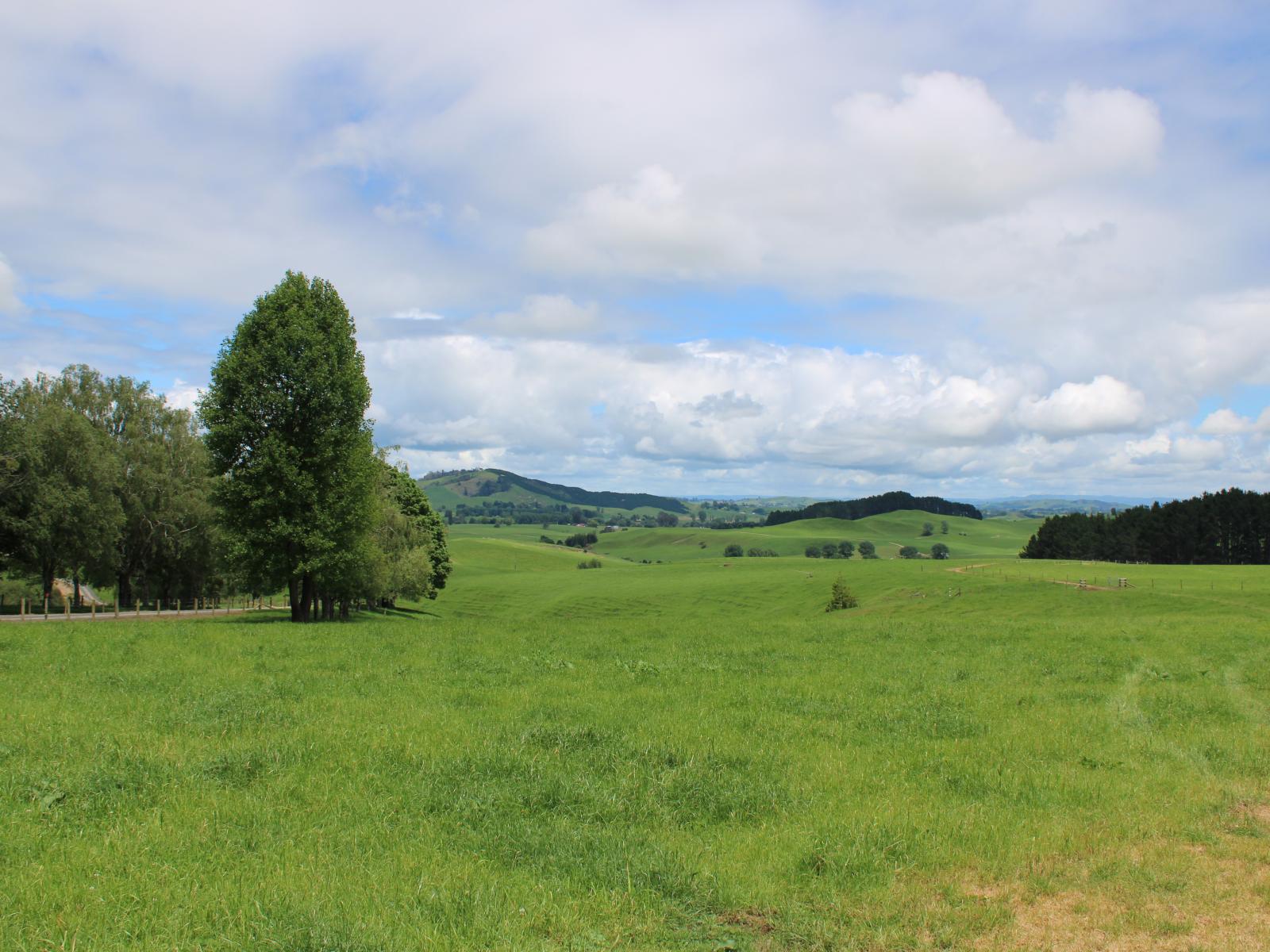 1250 Arapuni Road, Parawera