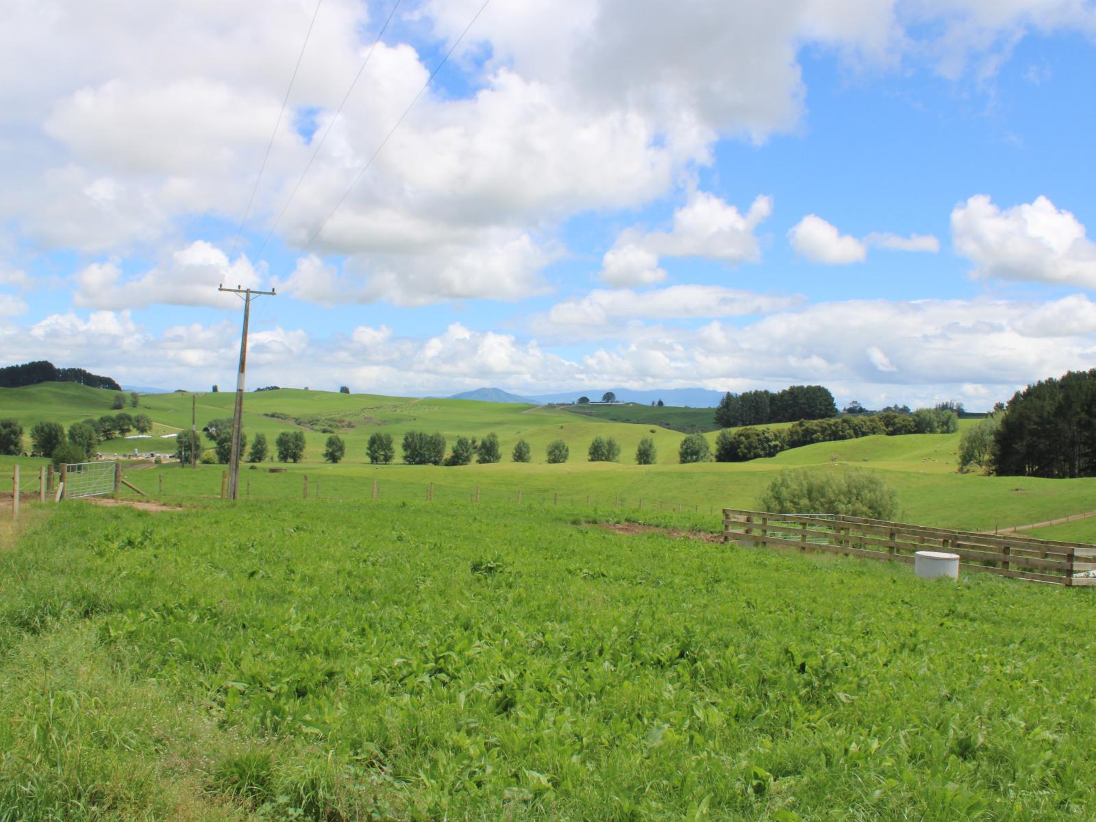 1250 Arapuni Road, Parawera