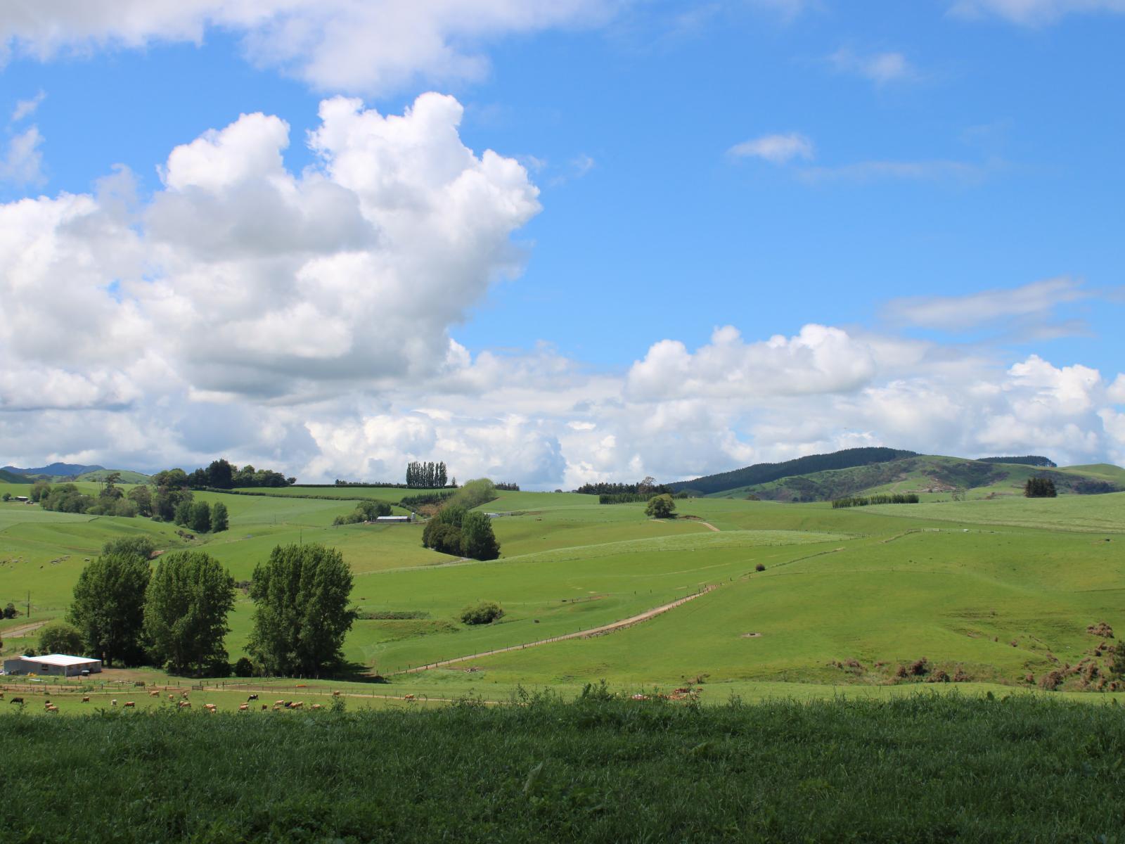 1250 Arapuni Road, Parawera