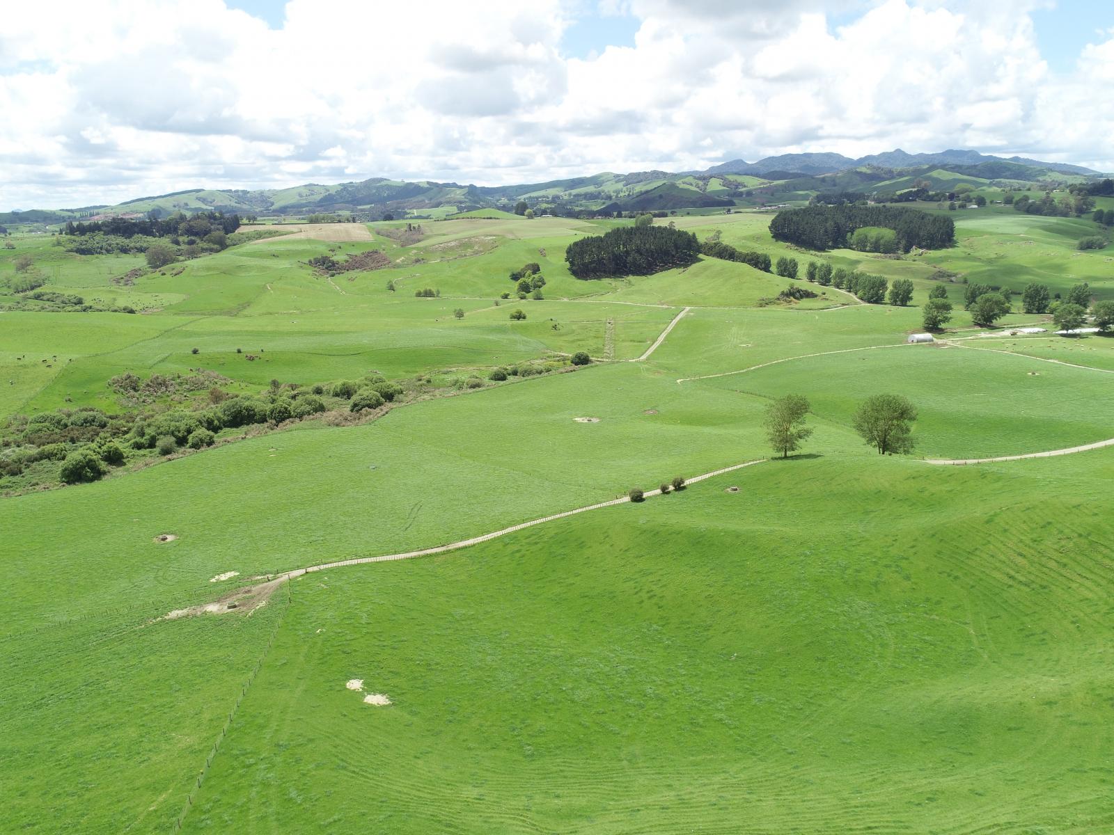 1250 Arapuni Road, Parawera