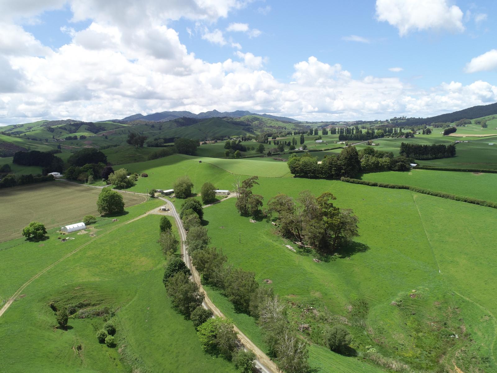 1250 Arapuni Road, Parawera