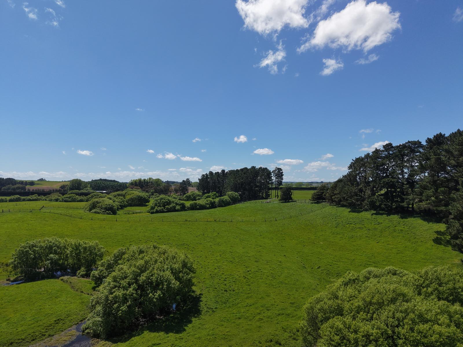 117 Te Rakehou Road, Feilding