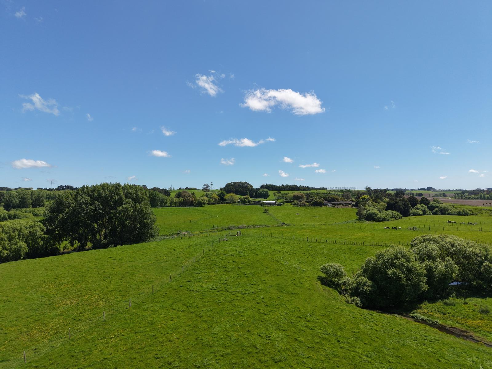 117 Te Rakehou Road, Feilding