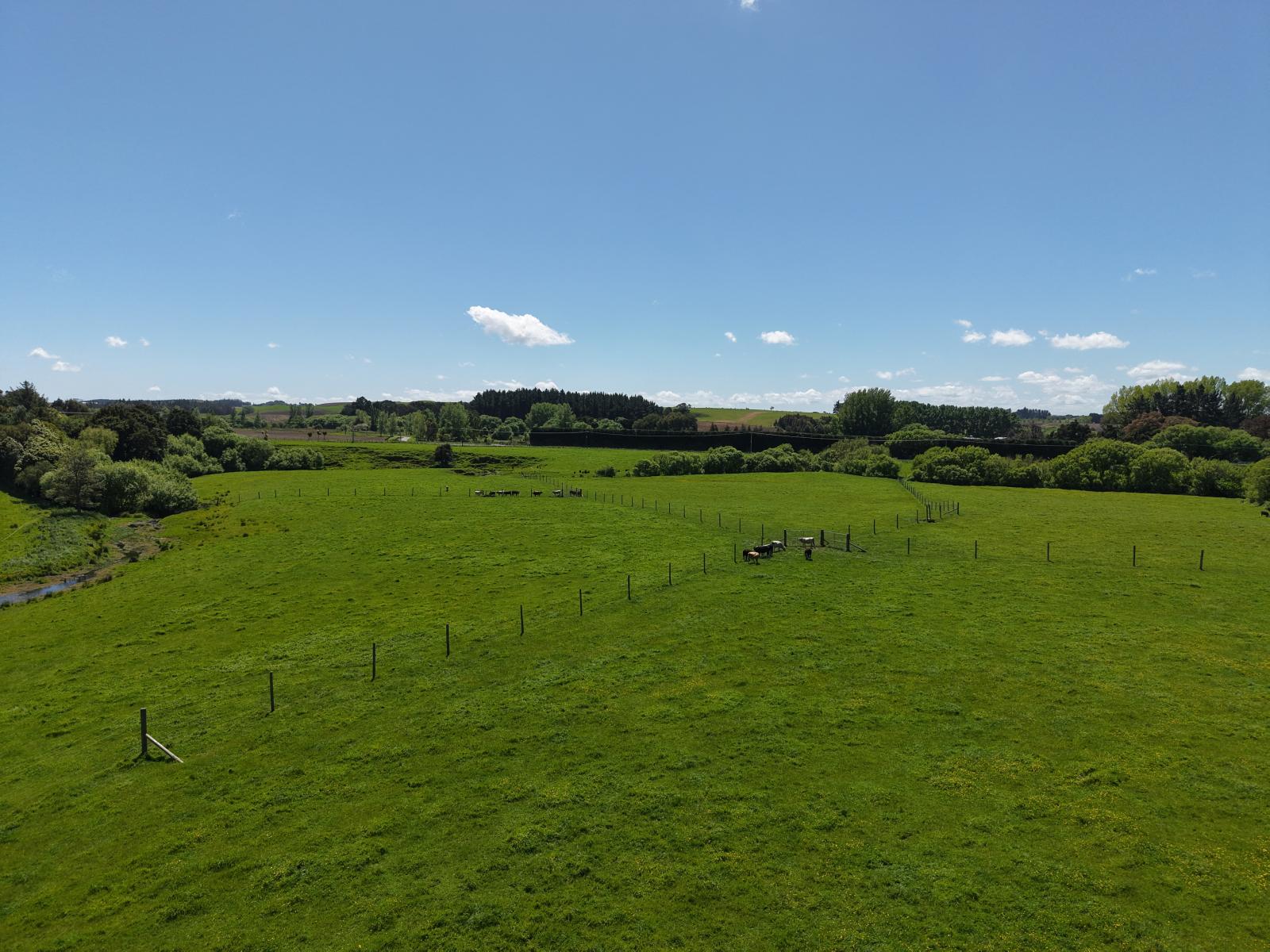 117 Te Rakehou Road, Feilding