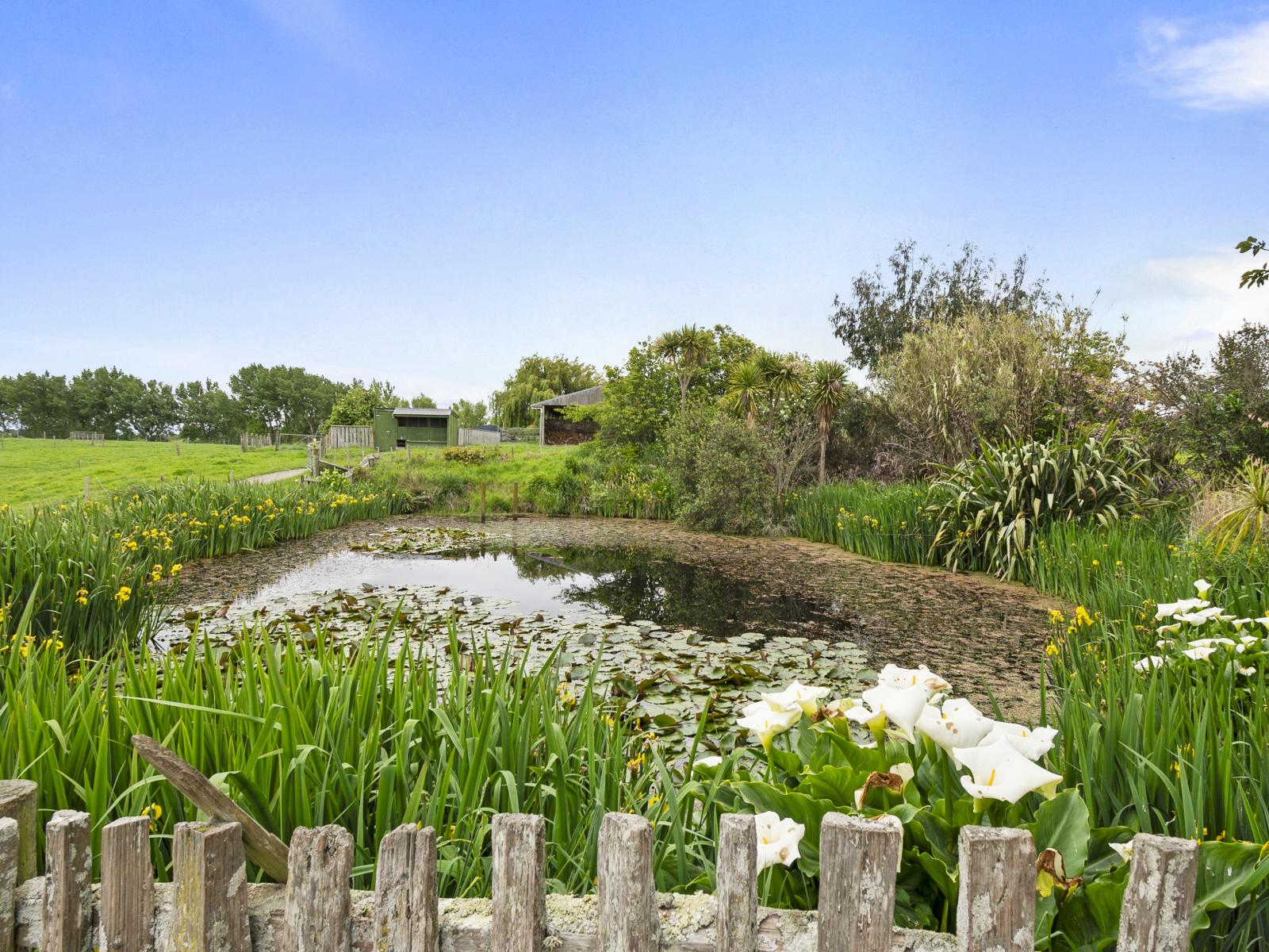 117 Te Rakehou Road, Feilding