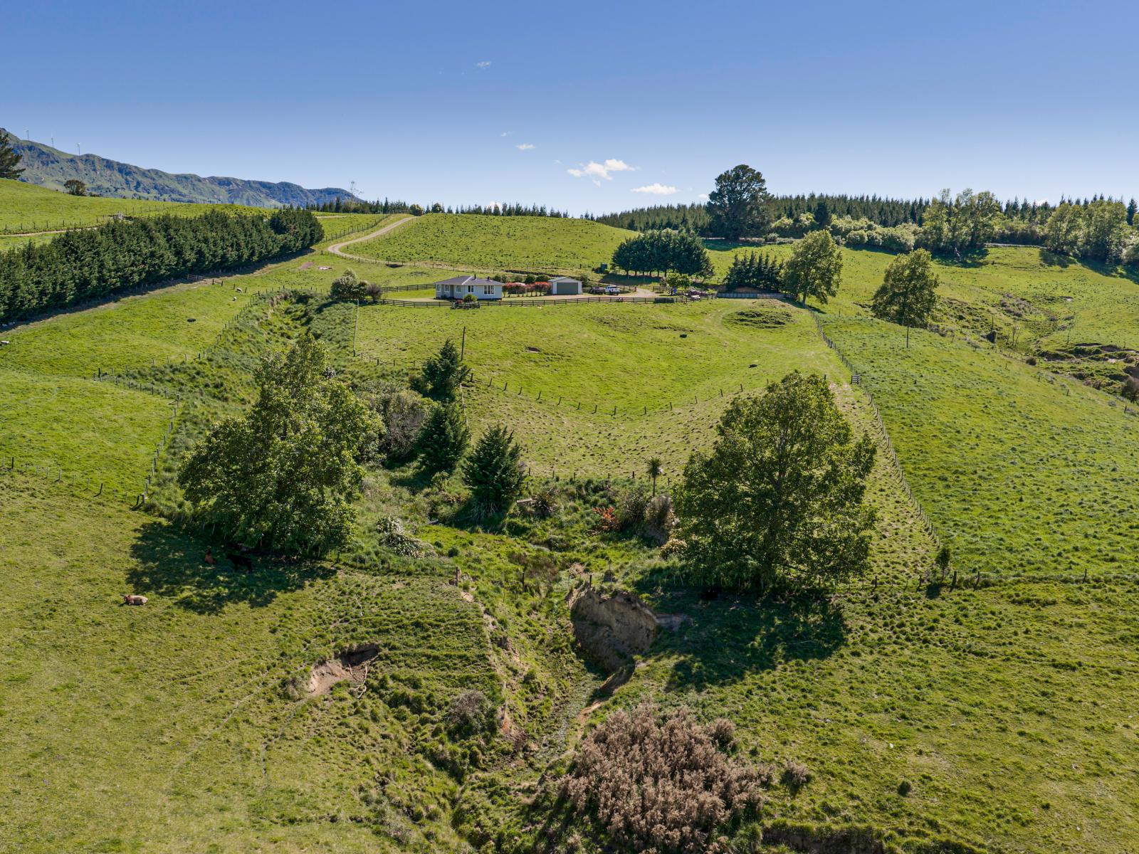 182 Claymore Road, Te Pohue