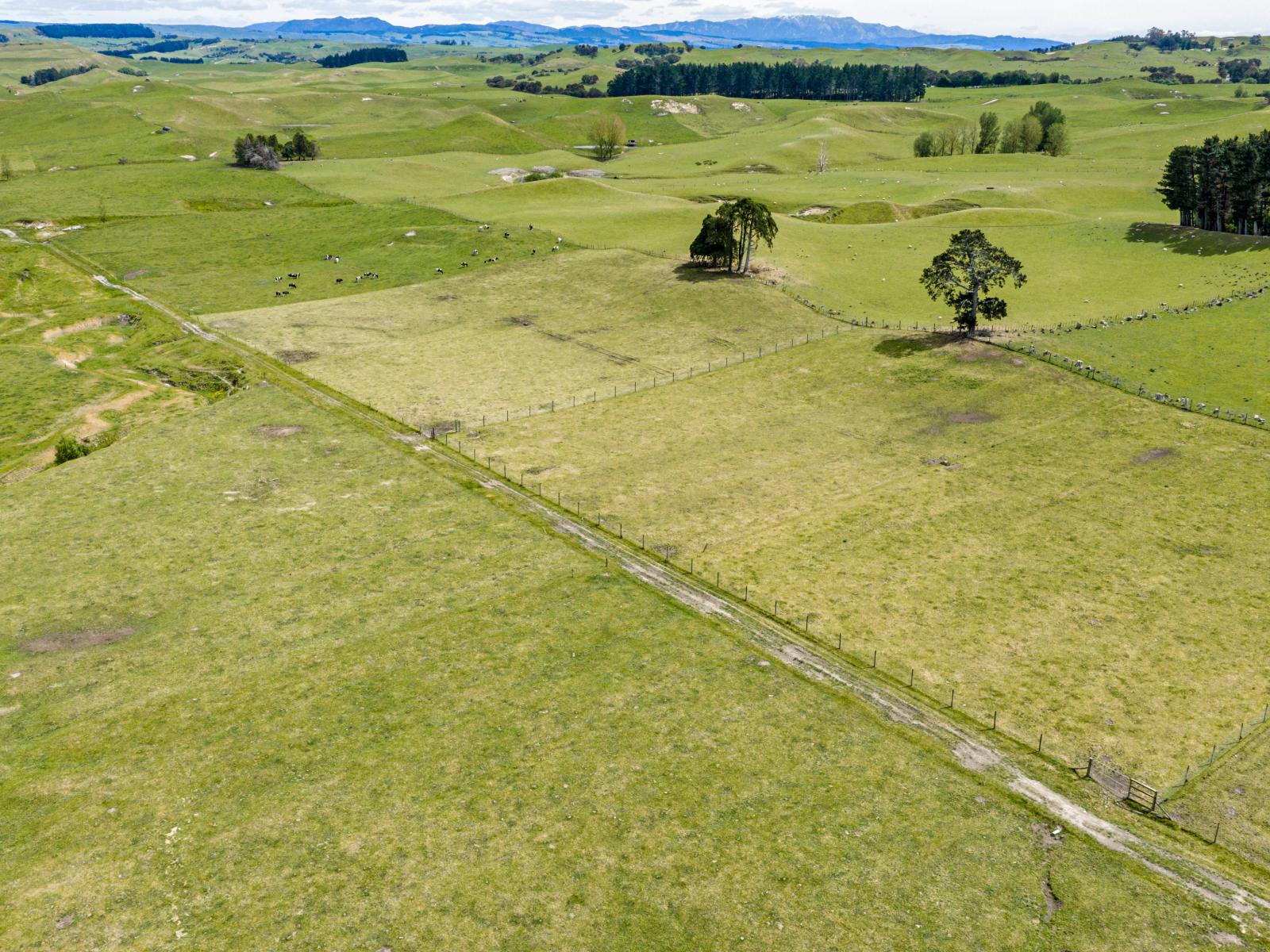 199 Crownthorpe Road, Crownthorpe