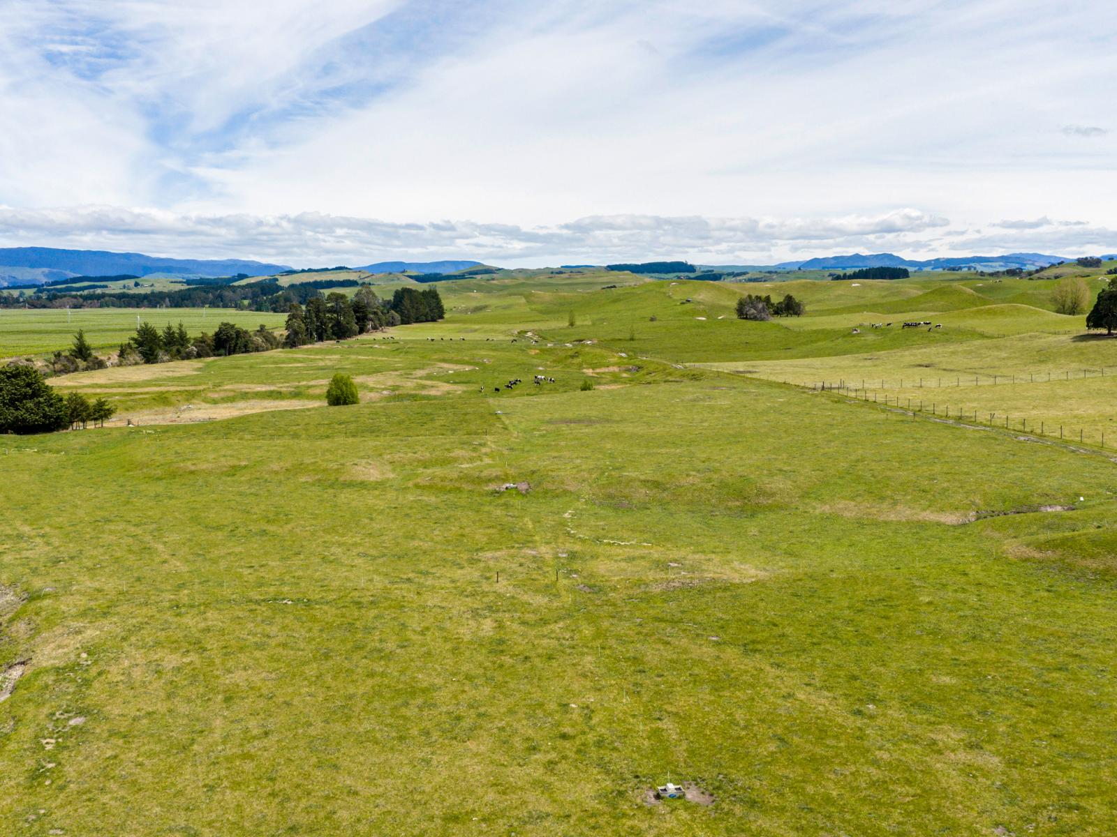 199 Crownthorpe Road, Crownthorpe