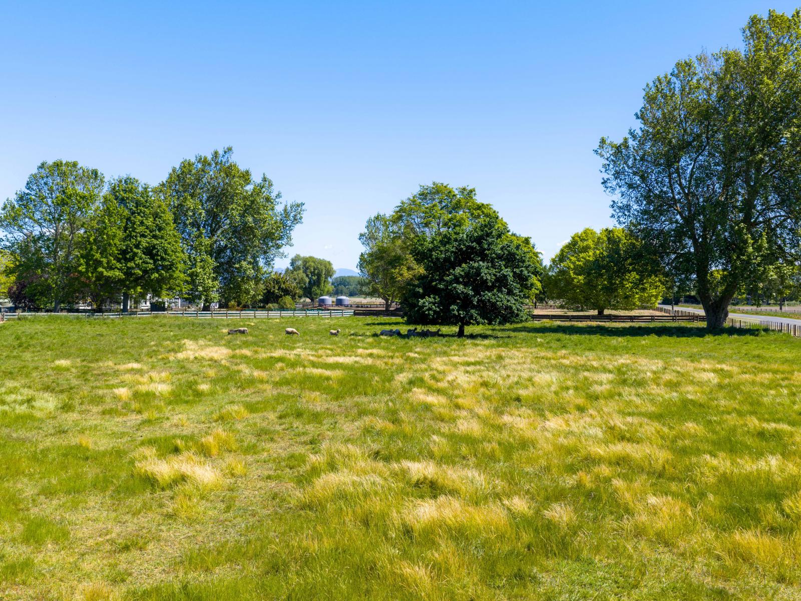 75 Ongaonga-Waipukurau Road, Waipukurau