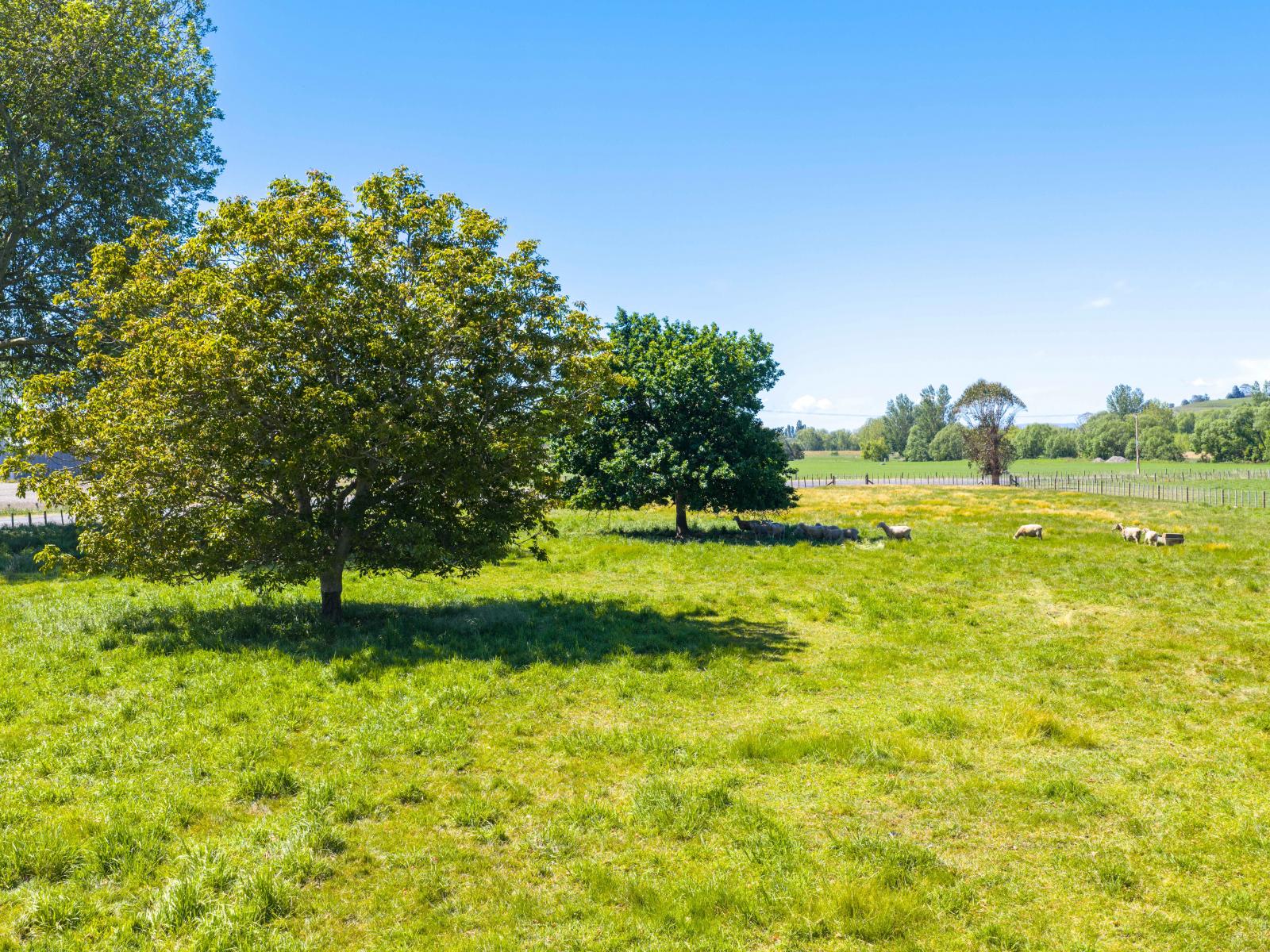 75 Ongaonga-Waipukurau Road, Waipukurau