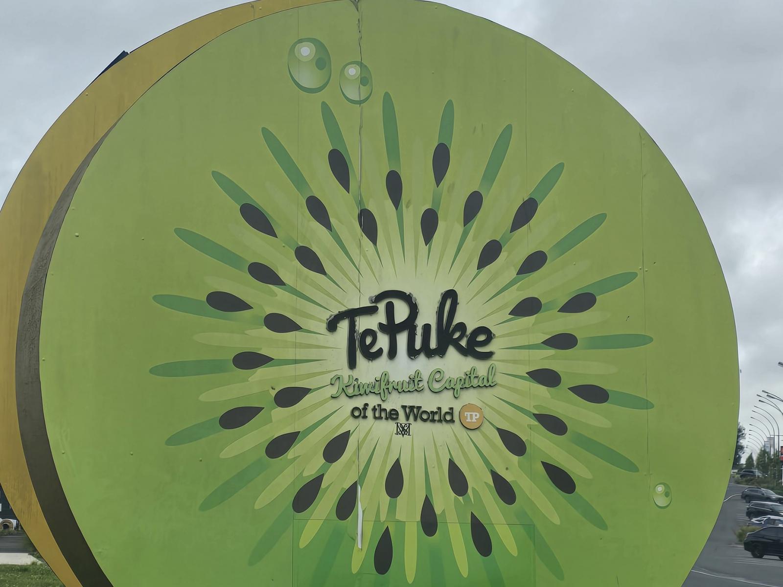 50B Moehau Street, Te Puke