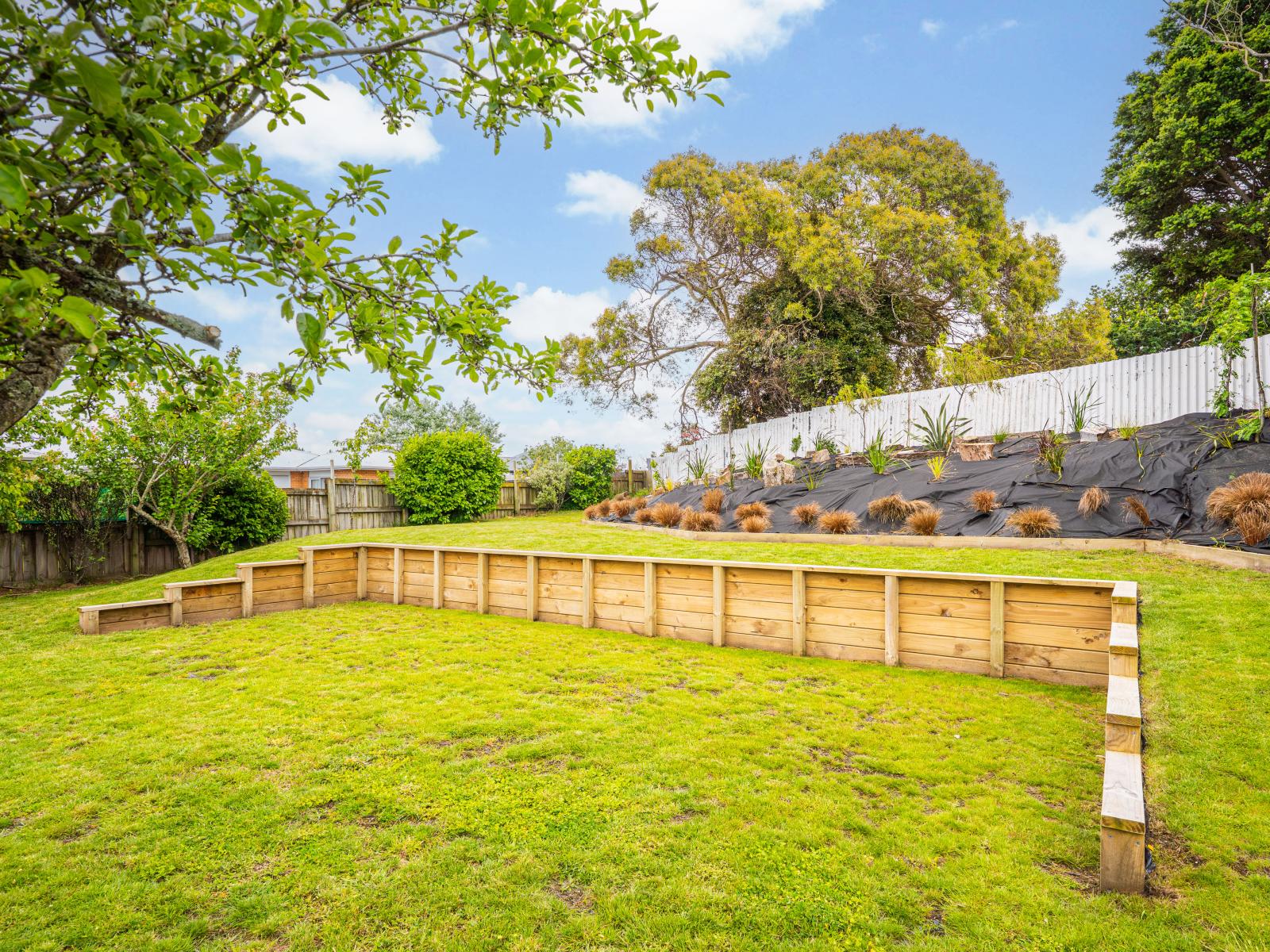 28B Alma Road, Gonville